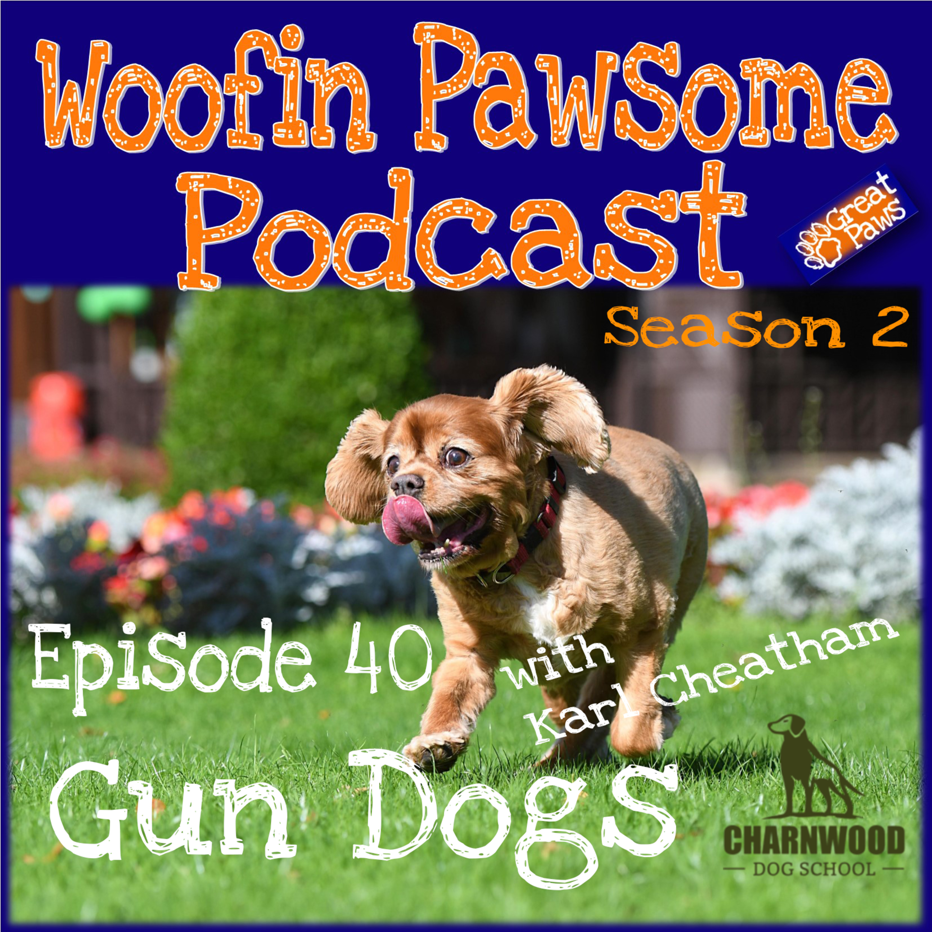 Gun Dogs with Karl Cheatham - Episode 40 episode artwork