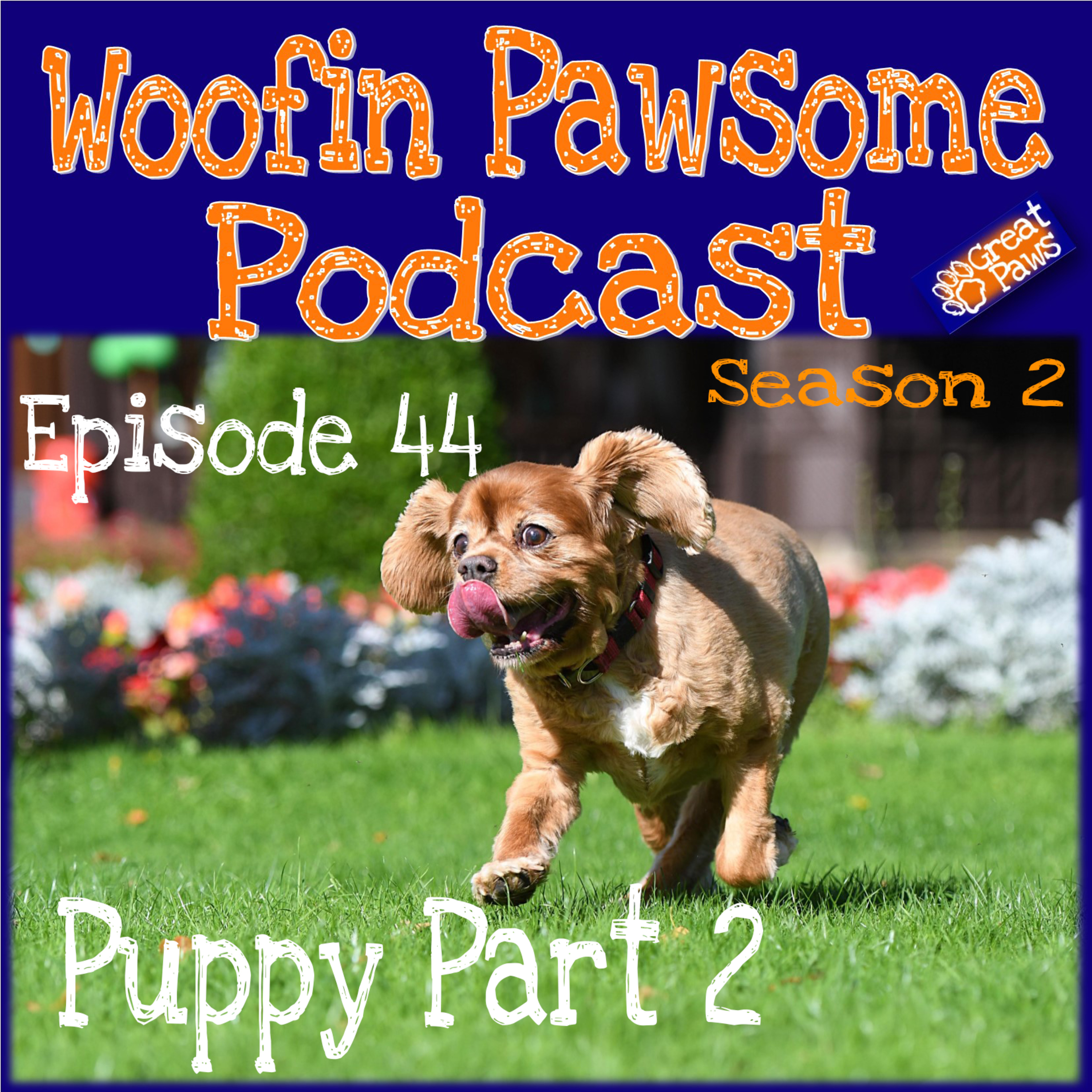 Puppy Part 2 - Episode 44 episode artwork
