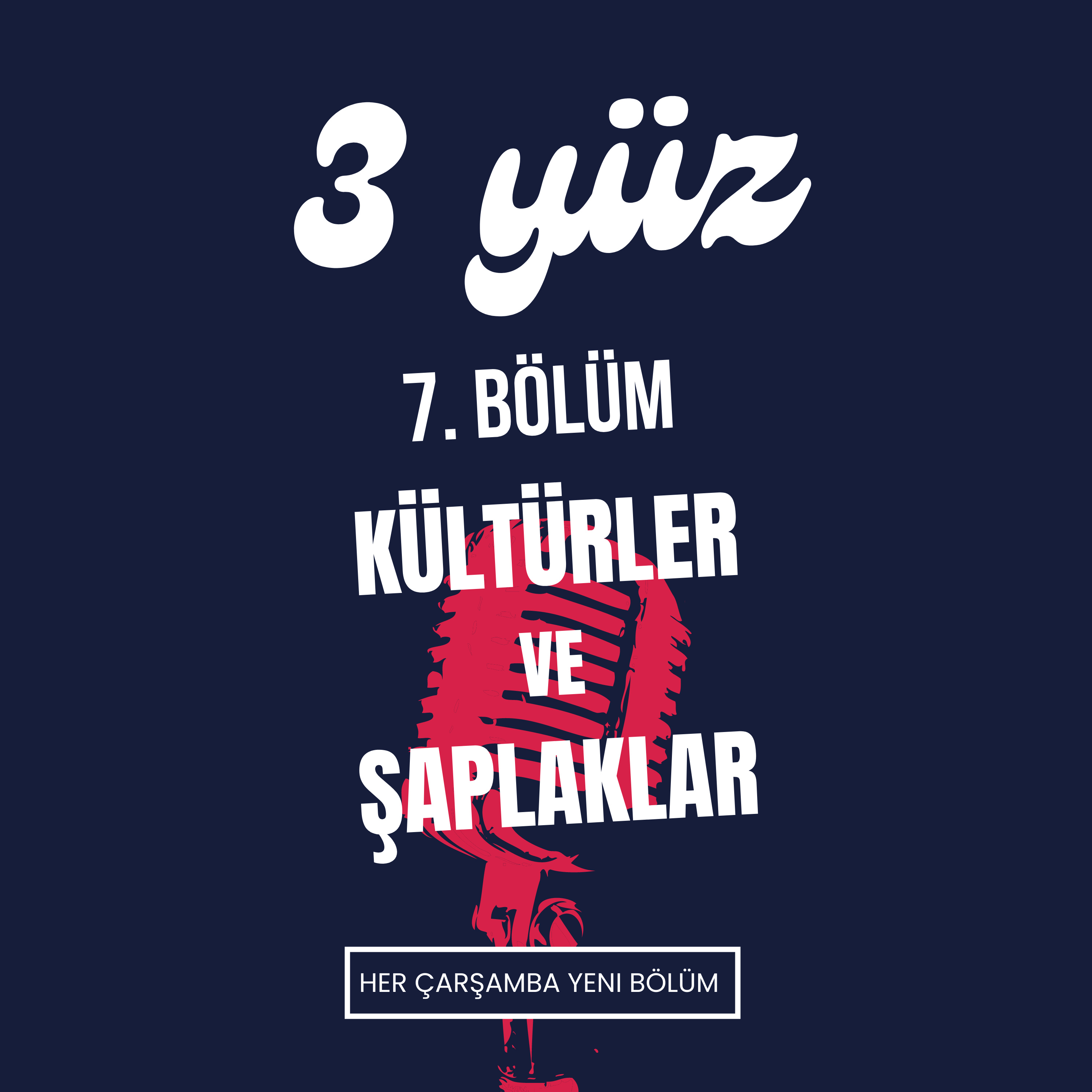 3 Yüz