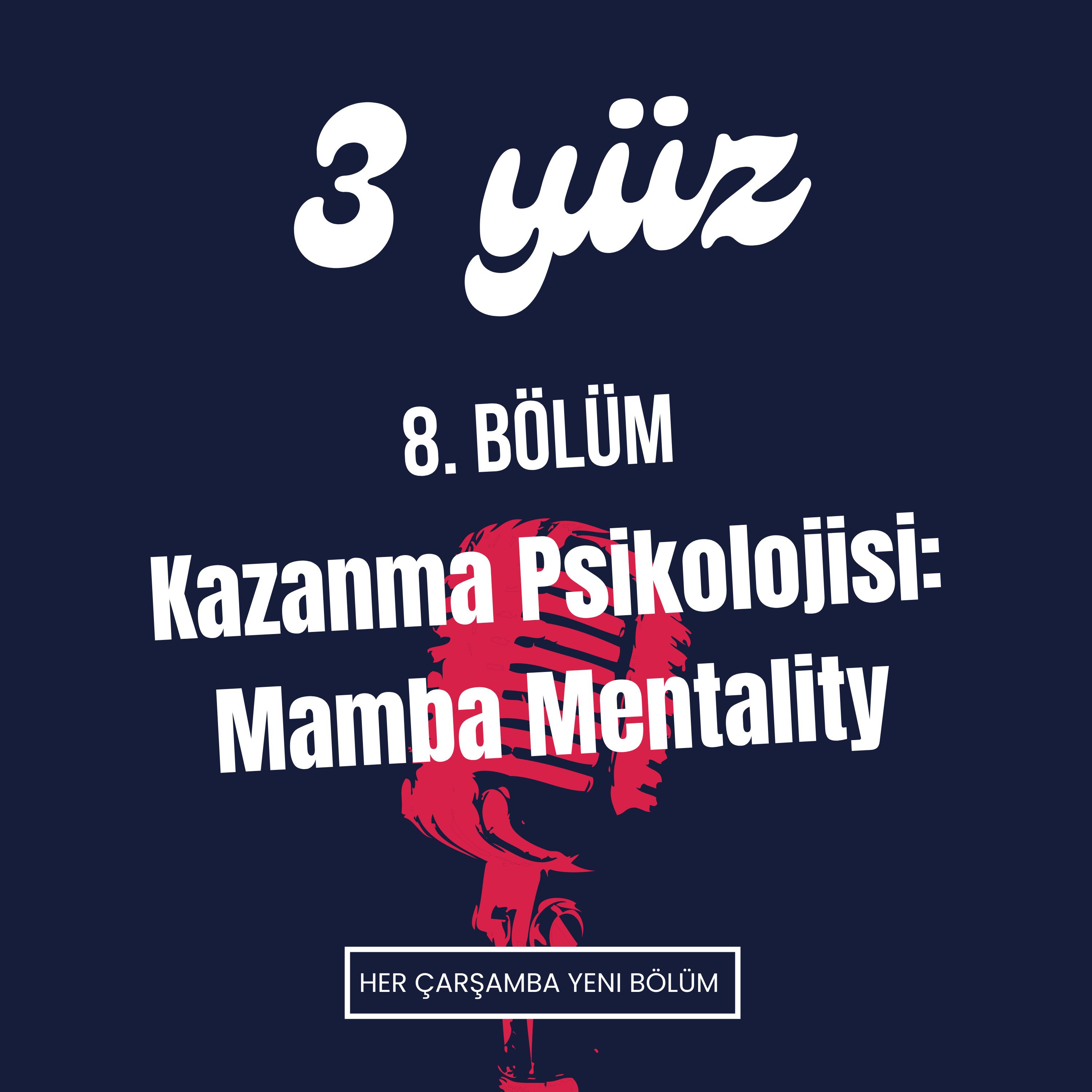 3 Yüz