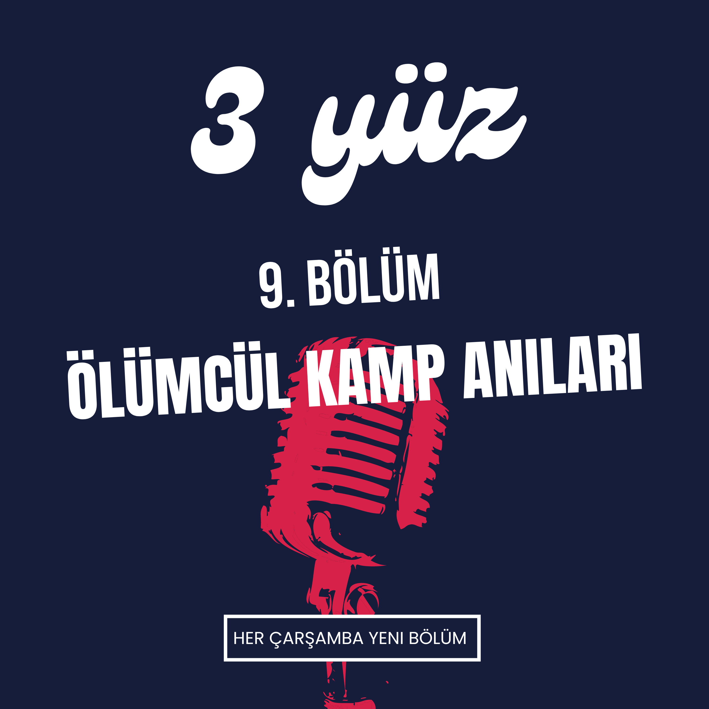 3 Yüz