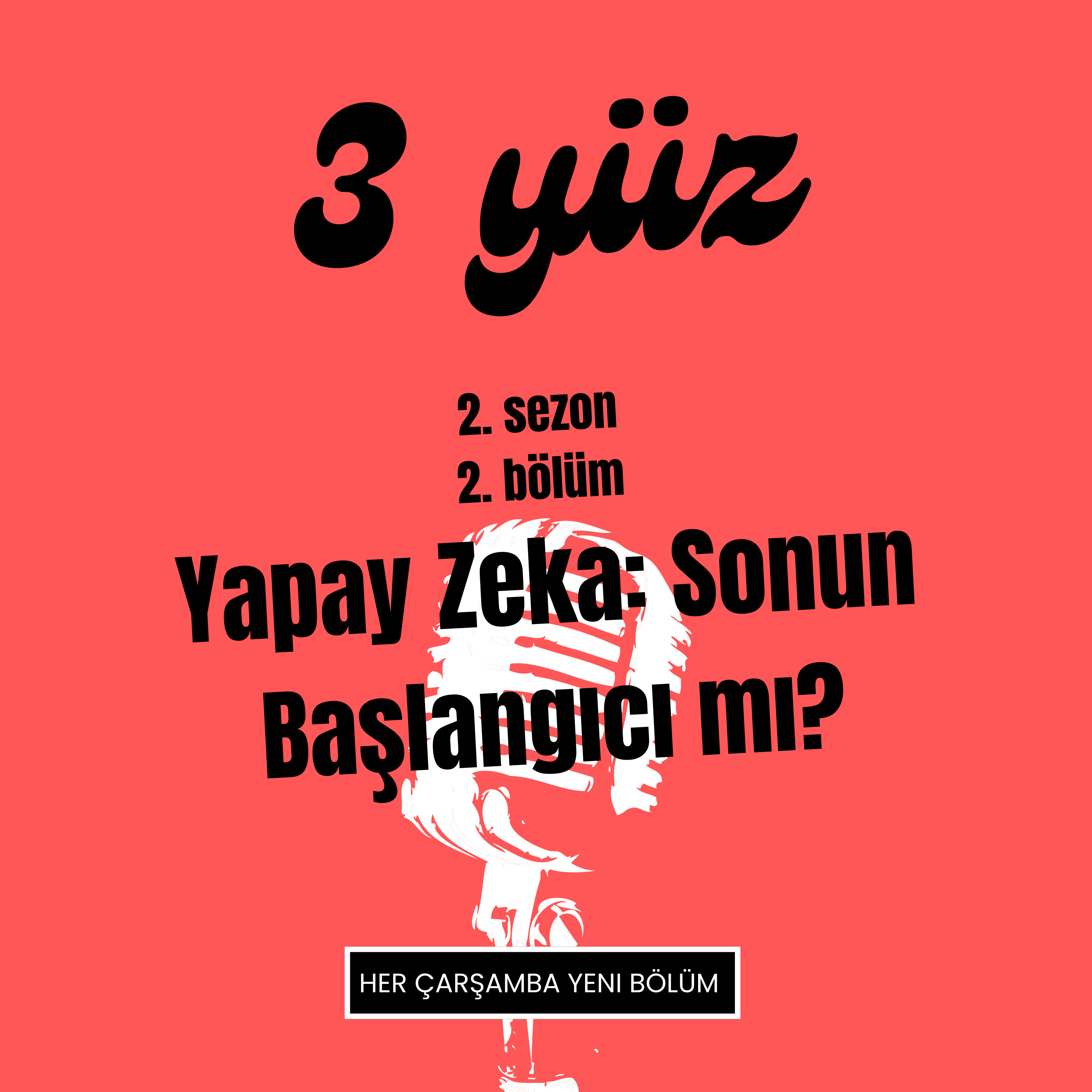 3 Yüz