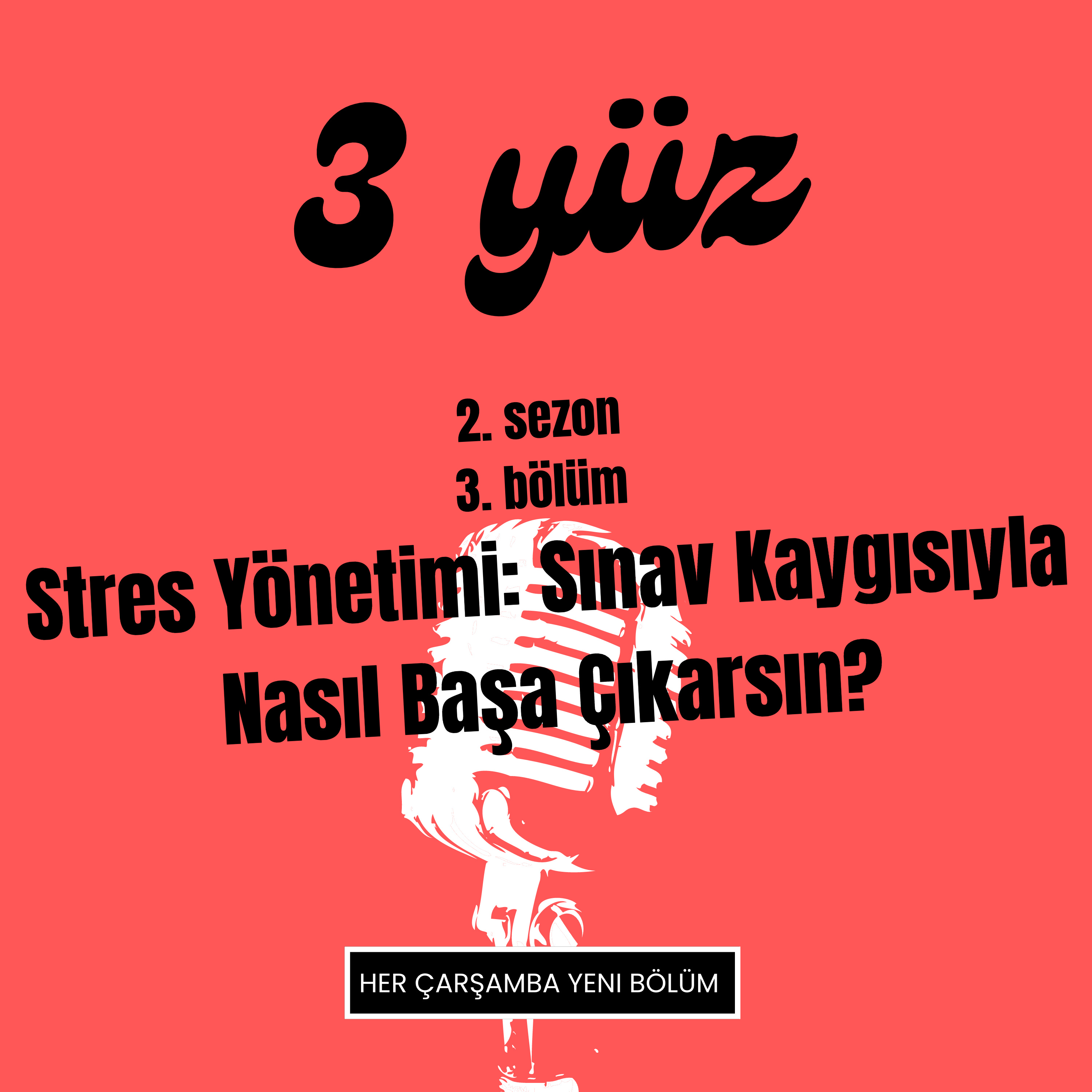 3 Yüz