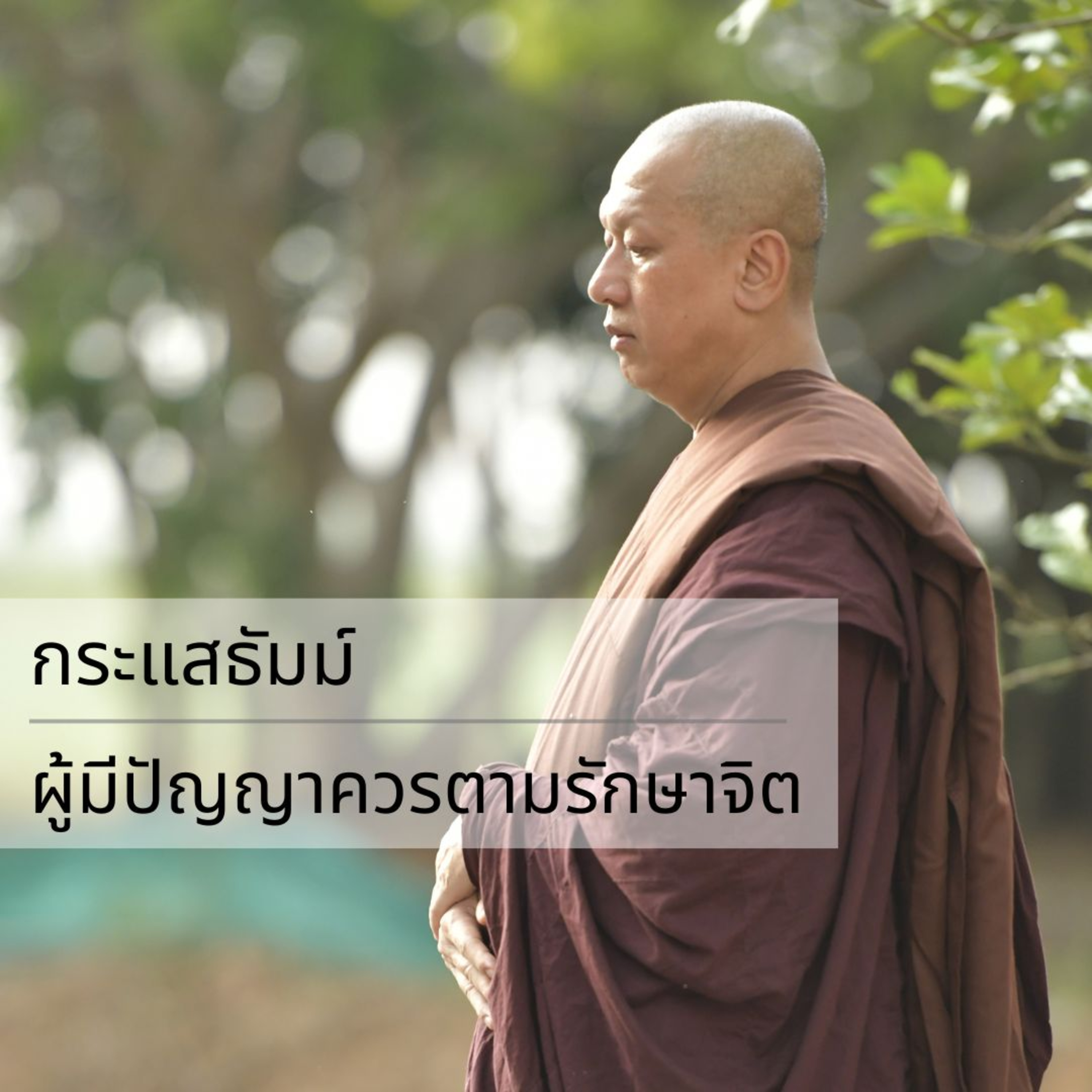 กระแสธัมม์ - ผู้มีปัญญาควรตามรักษาจิต episode artwork