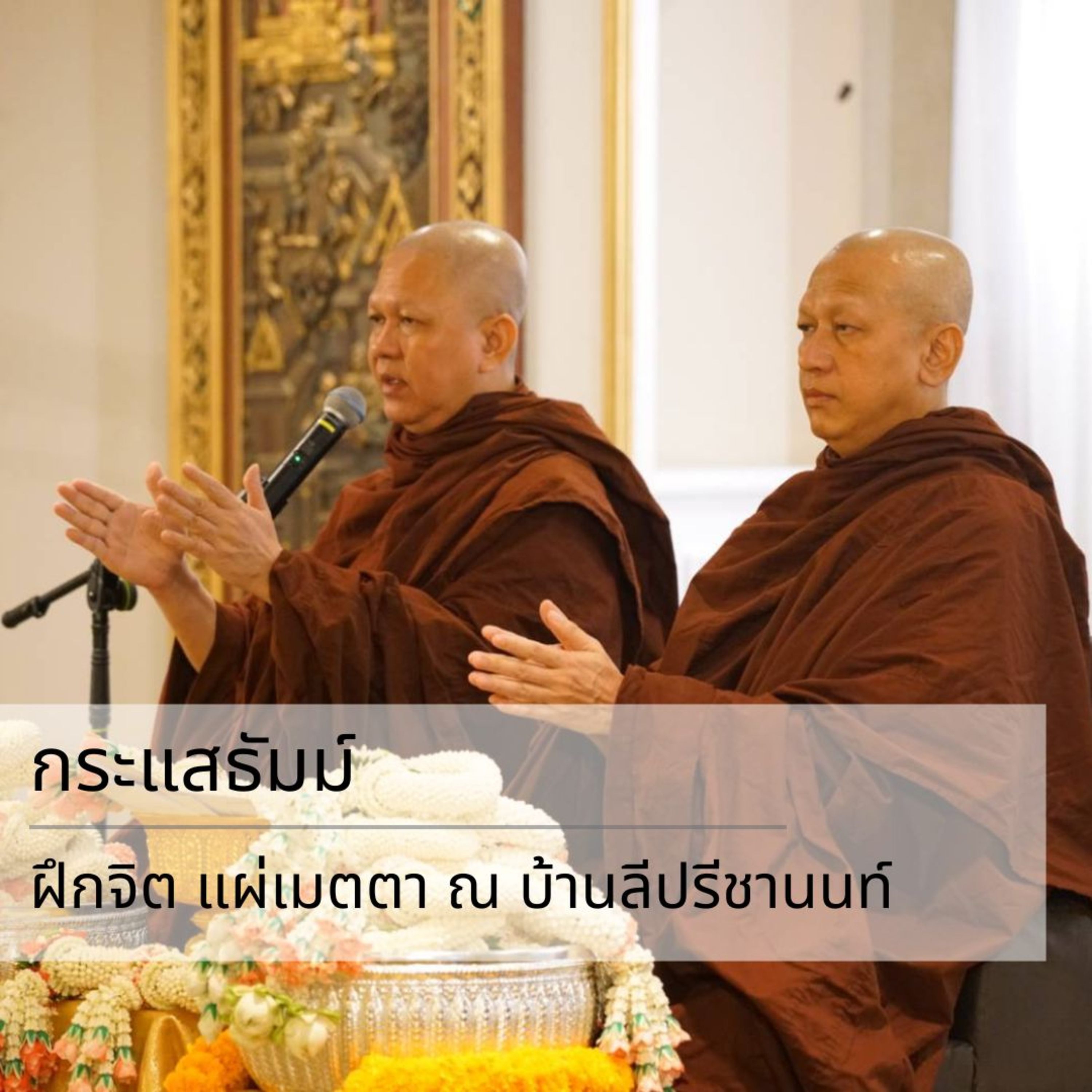 กระแสธัมม์ - ฝึกจิต แผ่เมตตา ณ บ้านลีปรีชานนท์ episode artwork