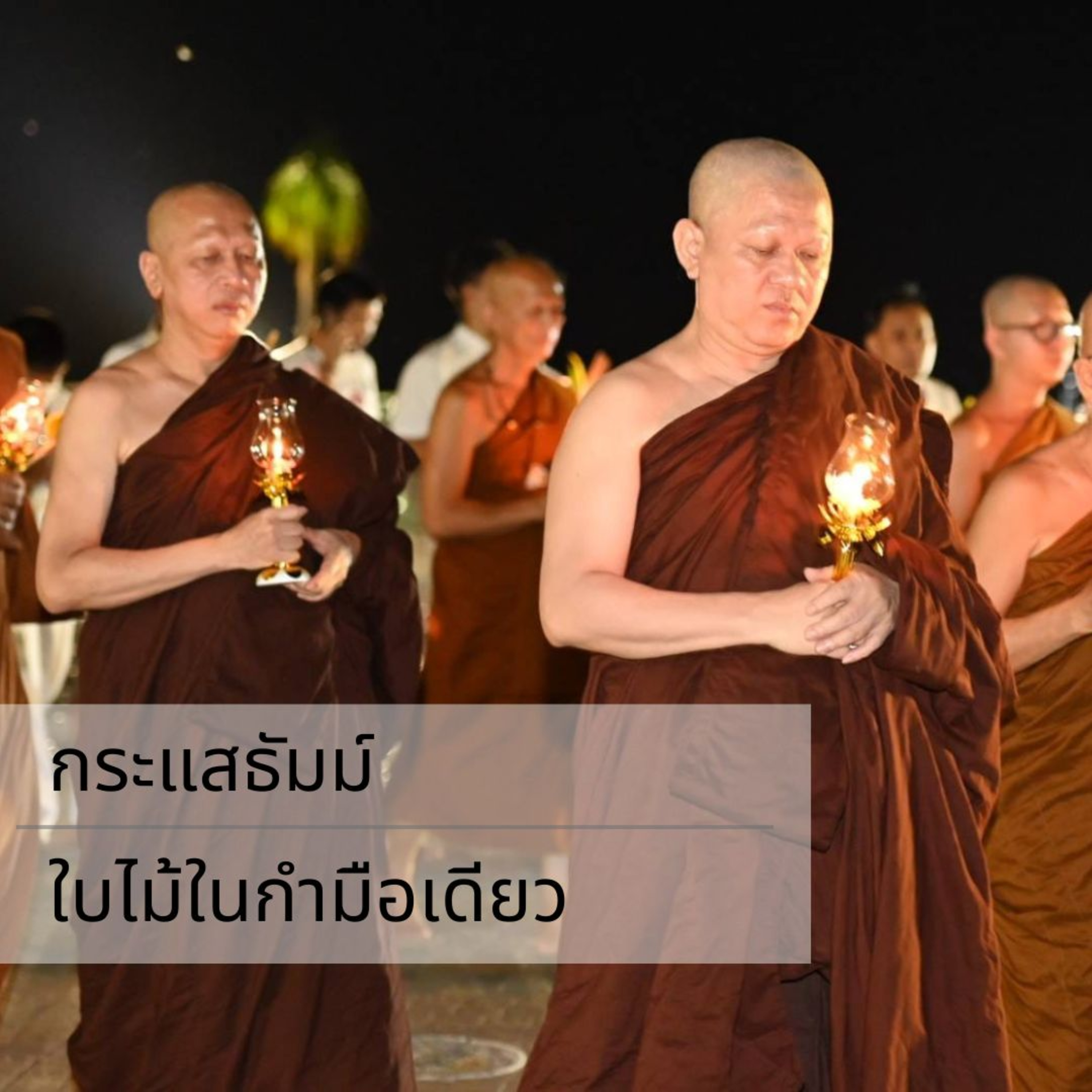 กระแสธัมม์ - ใบไม้ในกำมือเดียว episode artwork