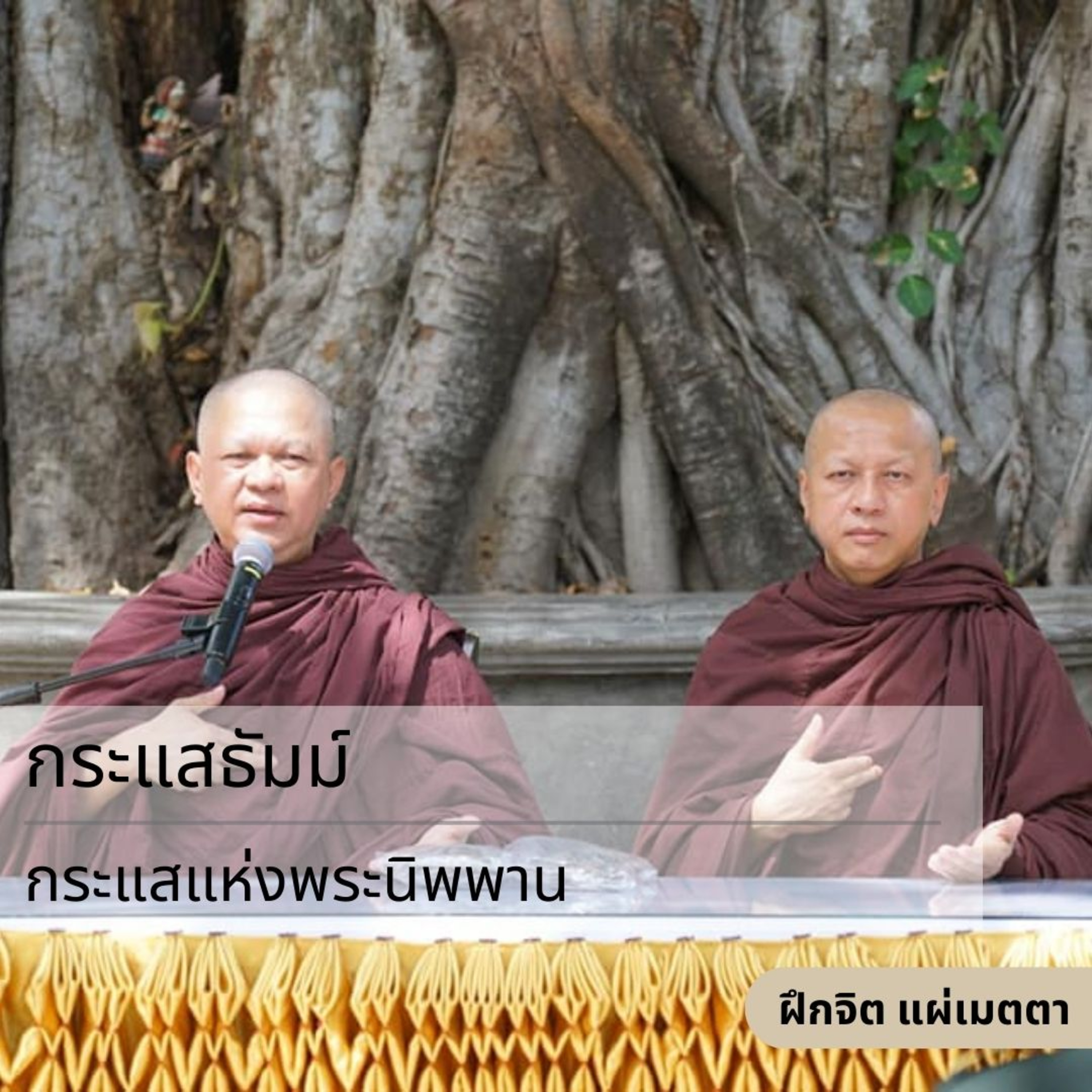กระแสธัมม์ [ฝึกจิต แผ่เมตตา] - กระแสแห่งพระนิพพาน episode artwork