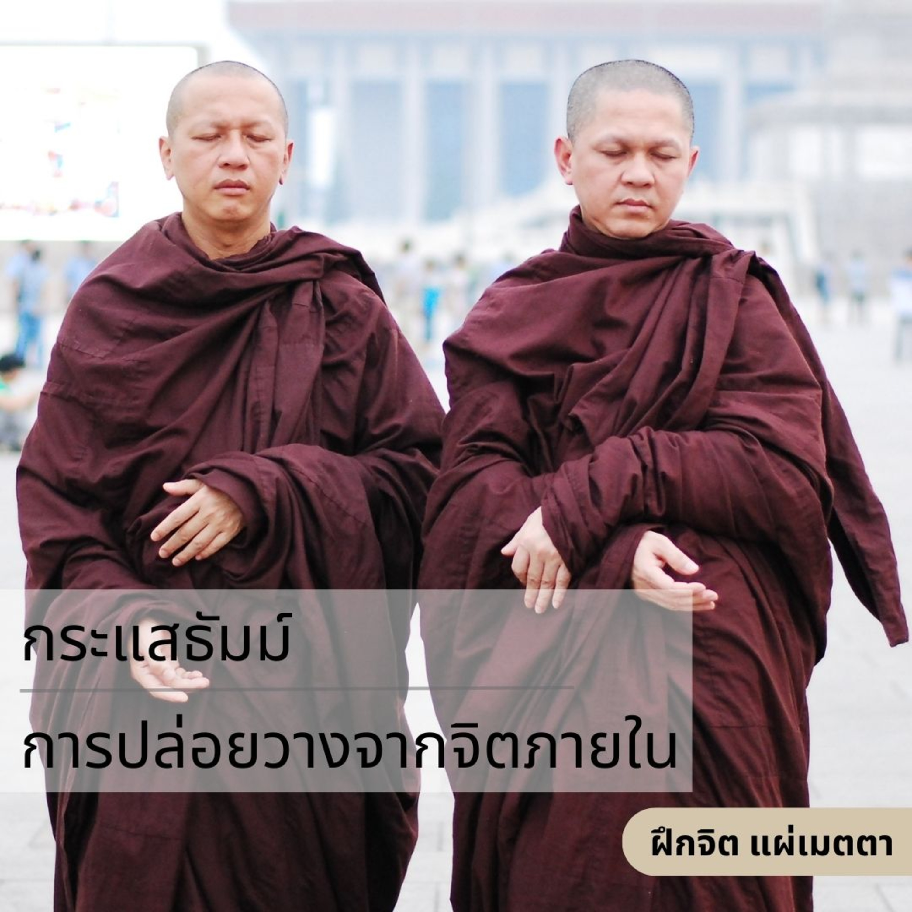 กระแสธัมม์ [ฝึกจิต แผ่เมตตา] - การปล่อยวางจากจิตภายใน episode artwork