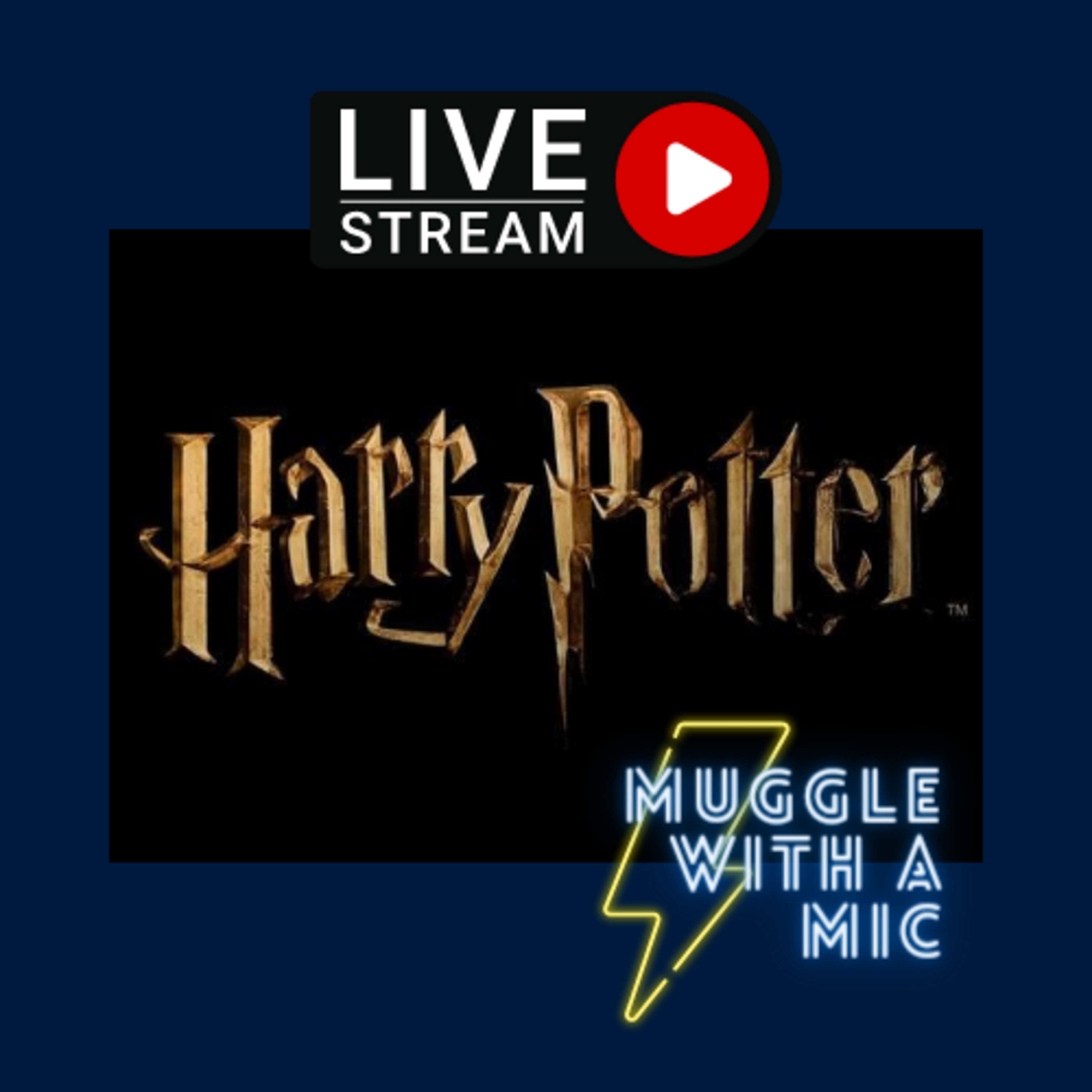 Muggle with a Mic