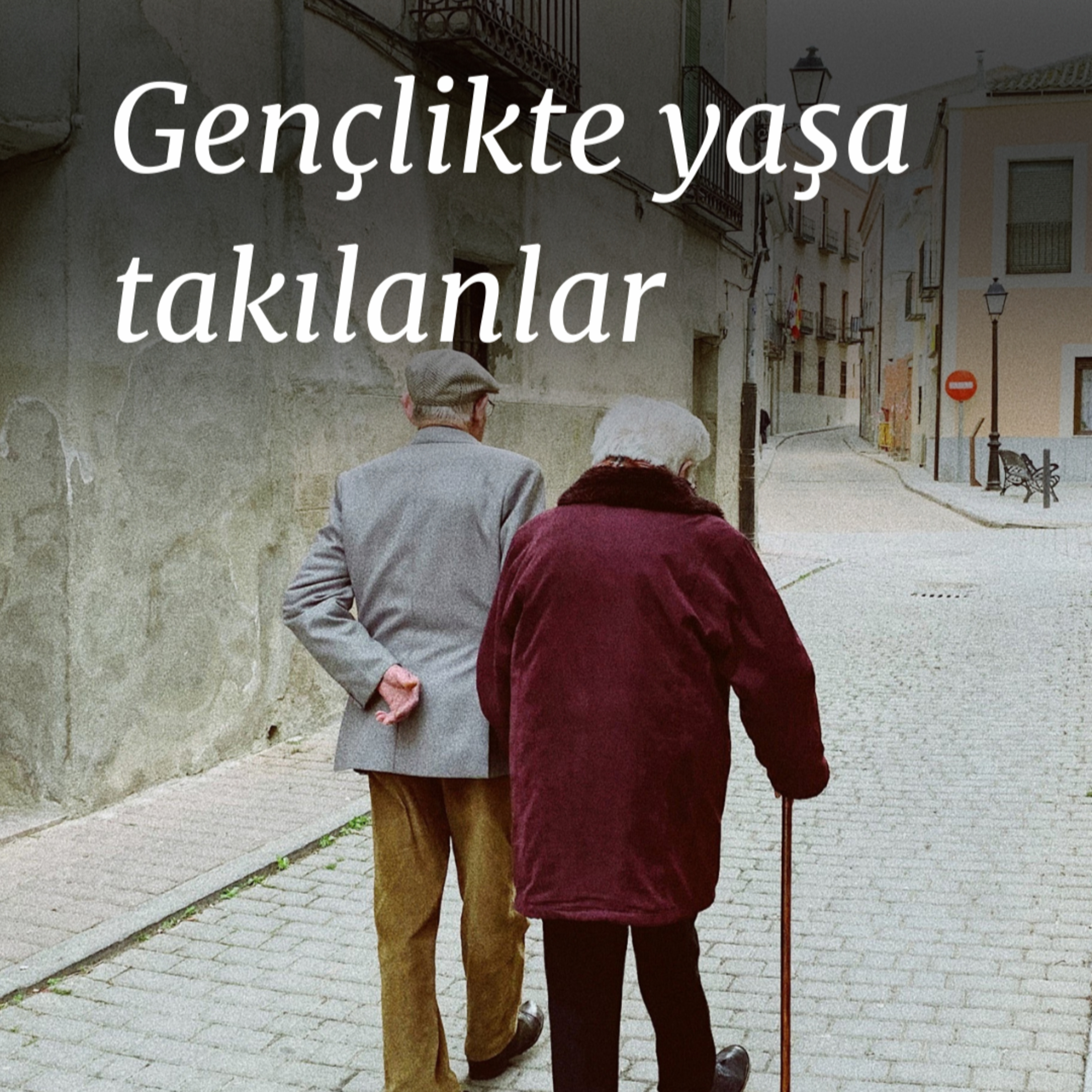 kapsül | günlük doz