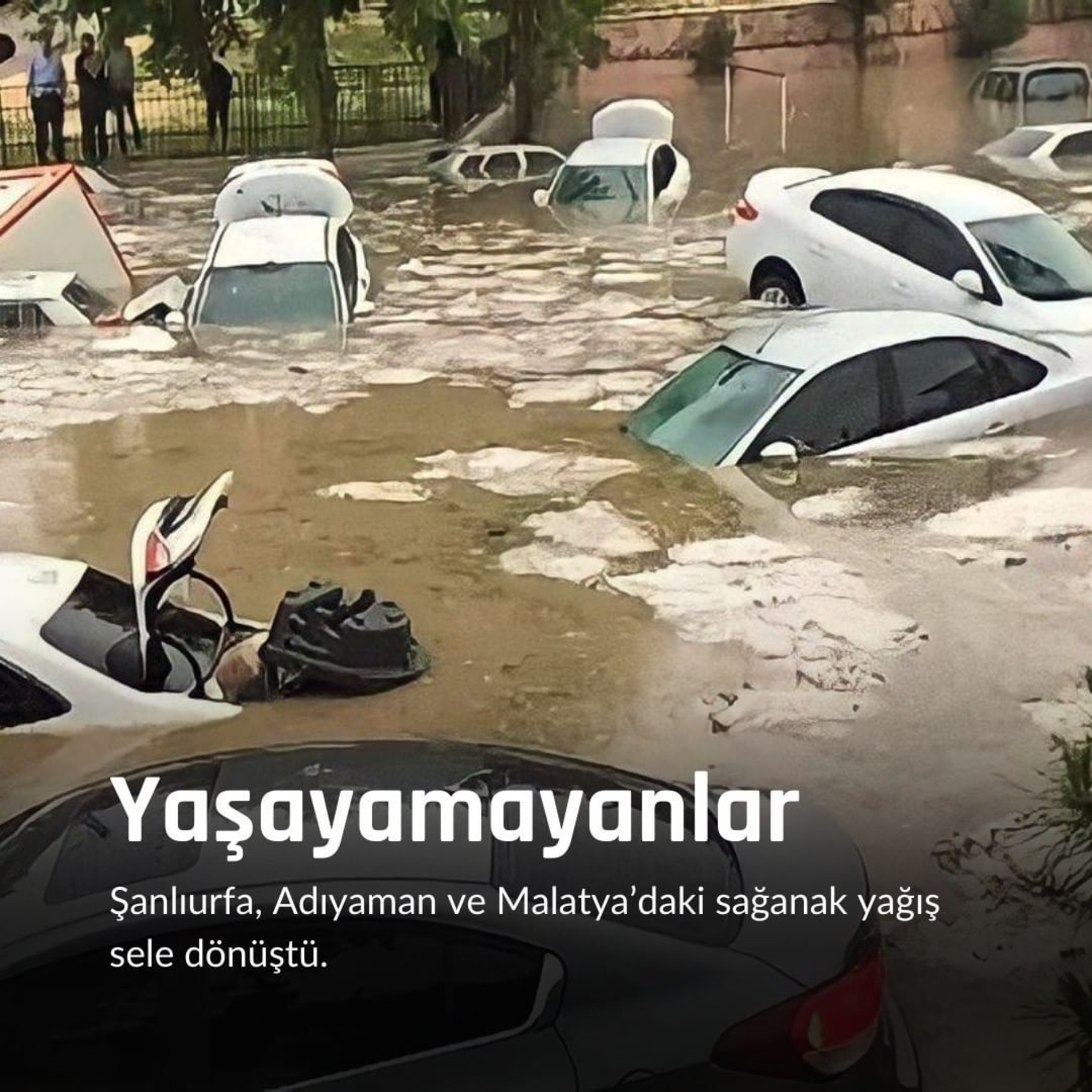 kapsül | günlük doz
