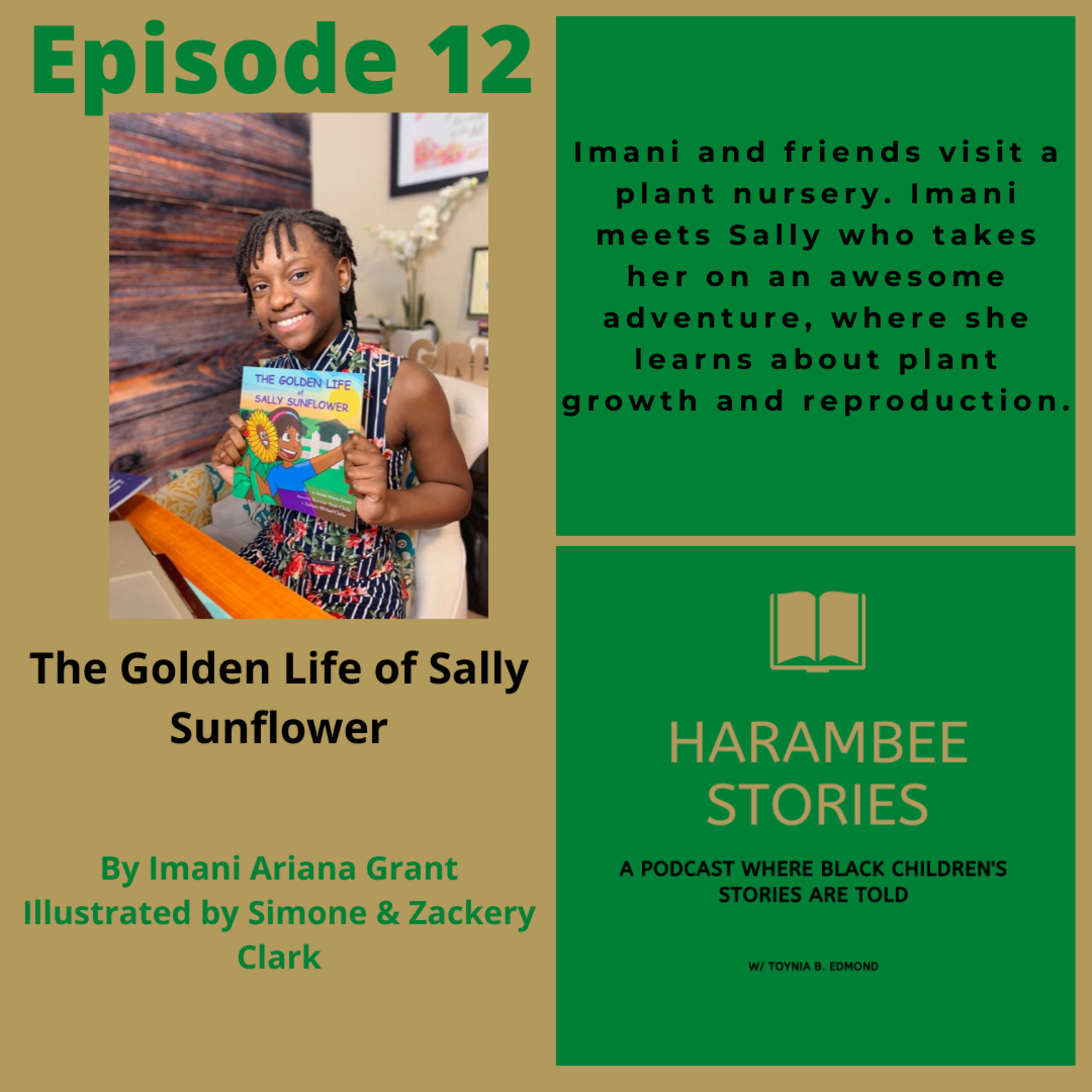 Harambee Stories