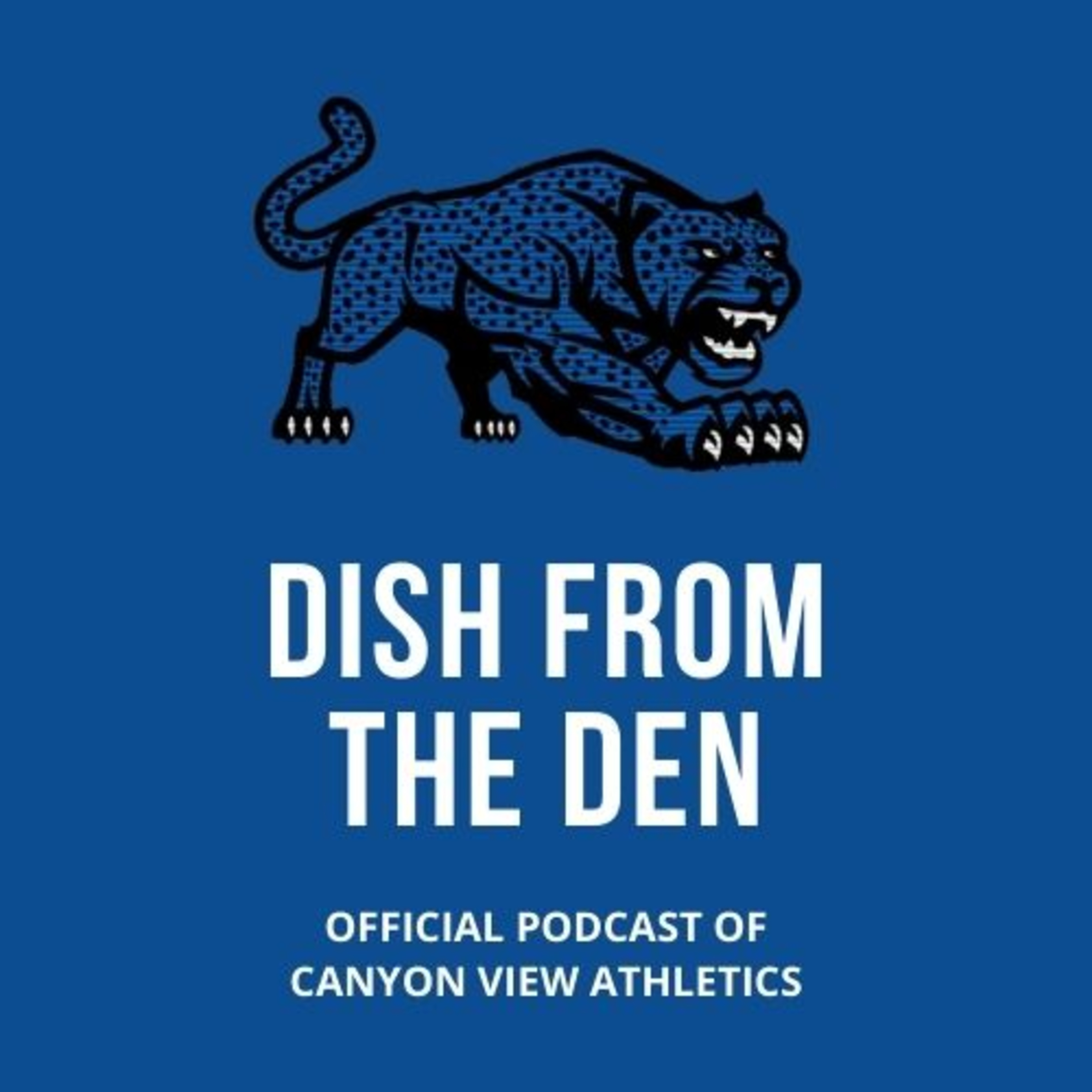 DFTD: Boys Tennis Sets A Strong Foundation episode artwork