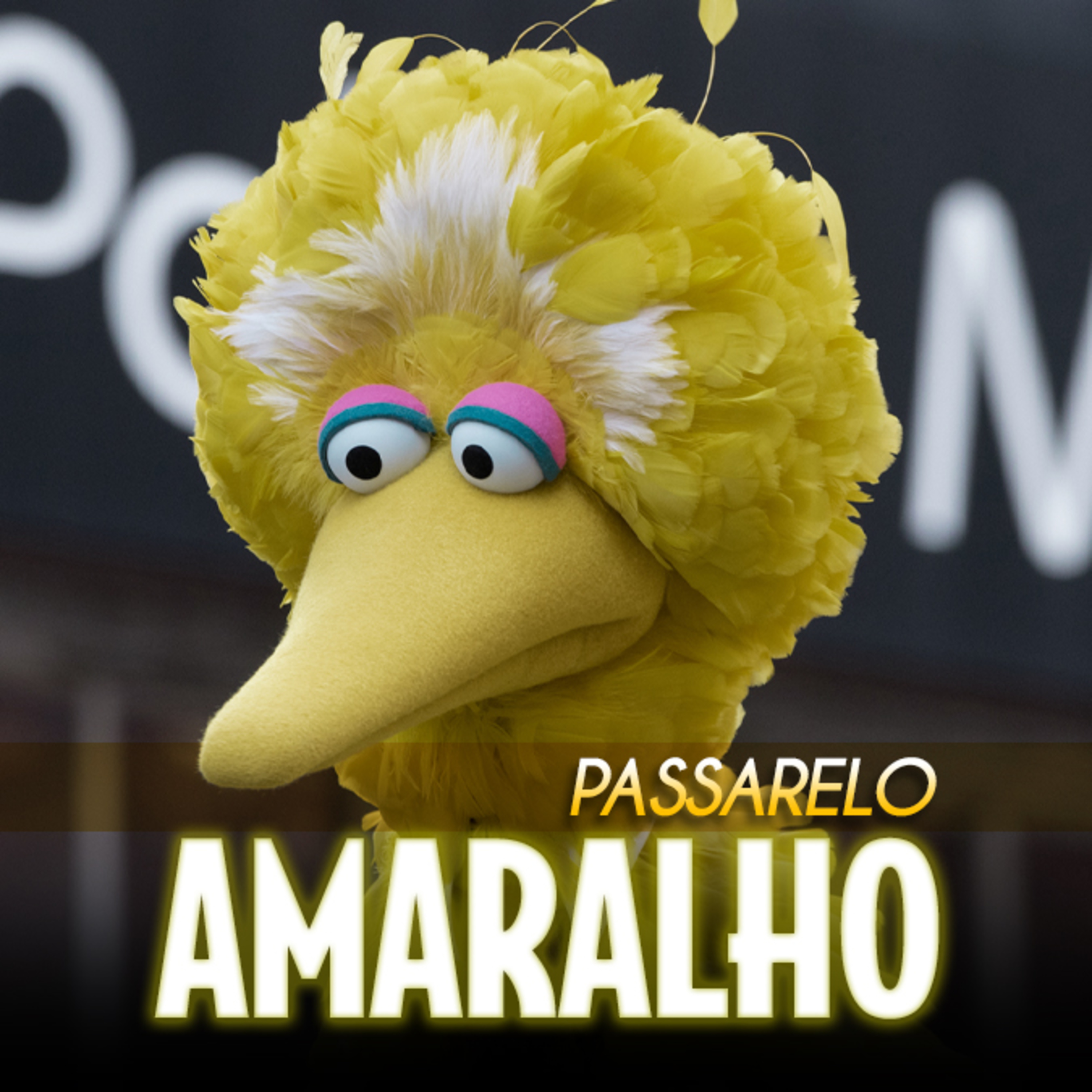 4CWP #206 - Passarelo Amaralho episode artwork