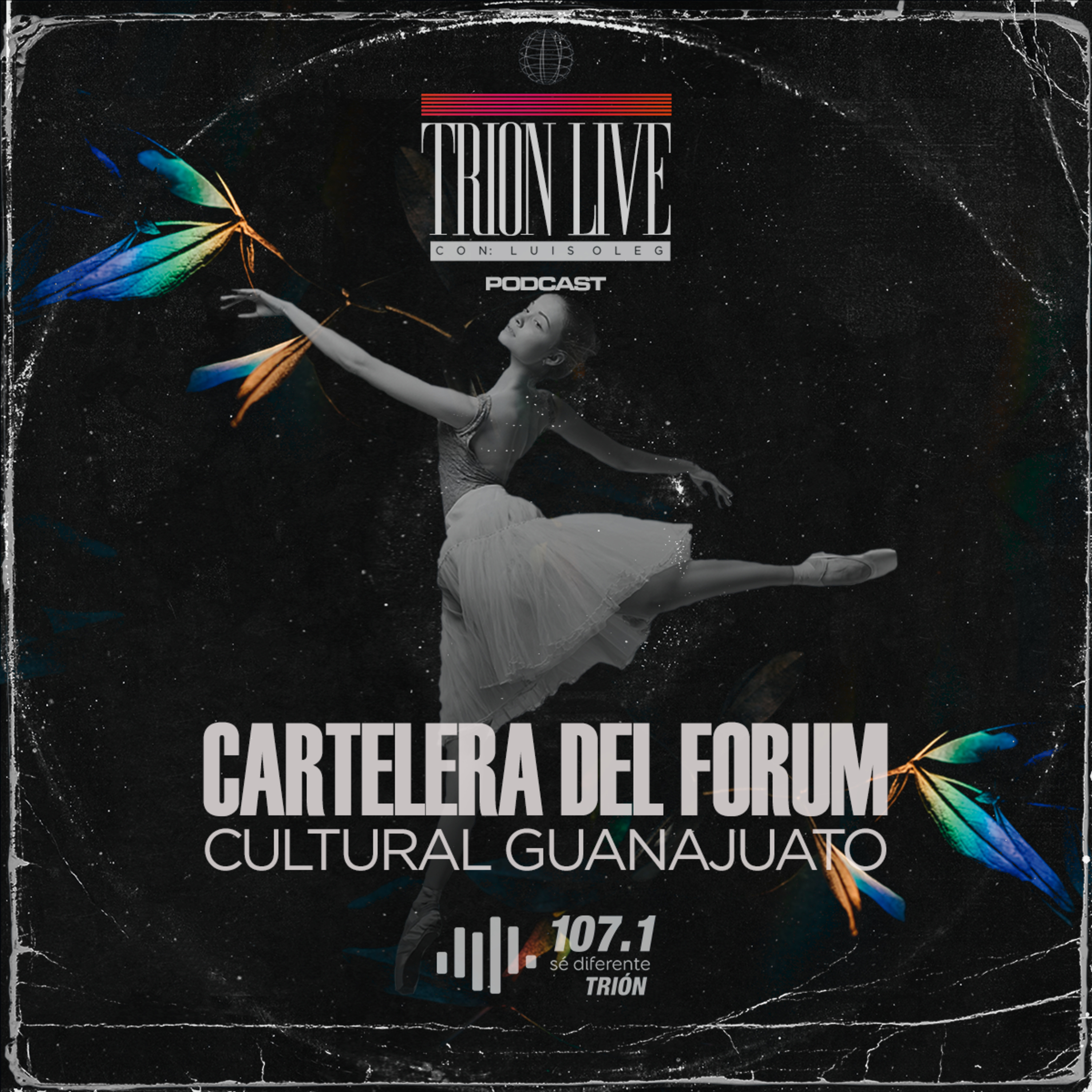 Cartelera del FORUM Cultural Guanajuato  episode artwork