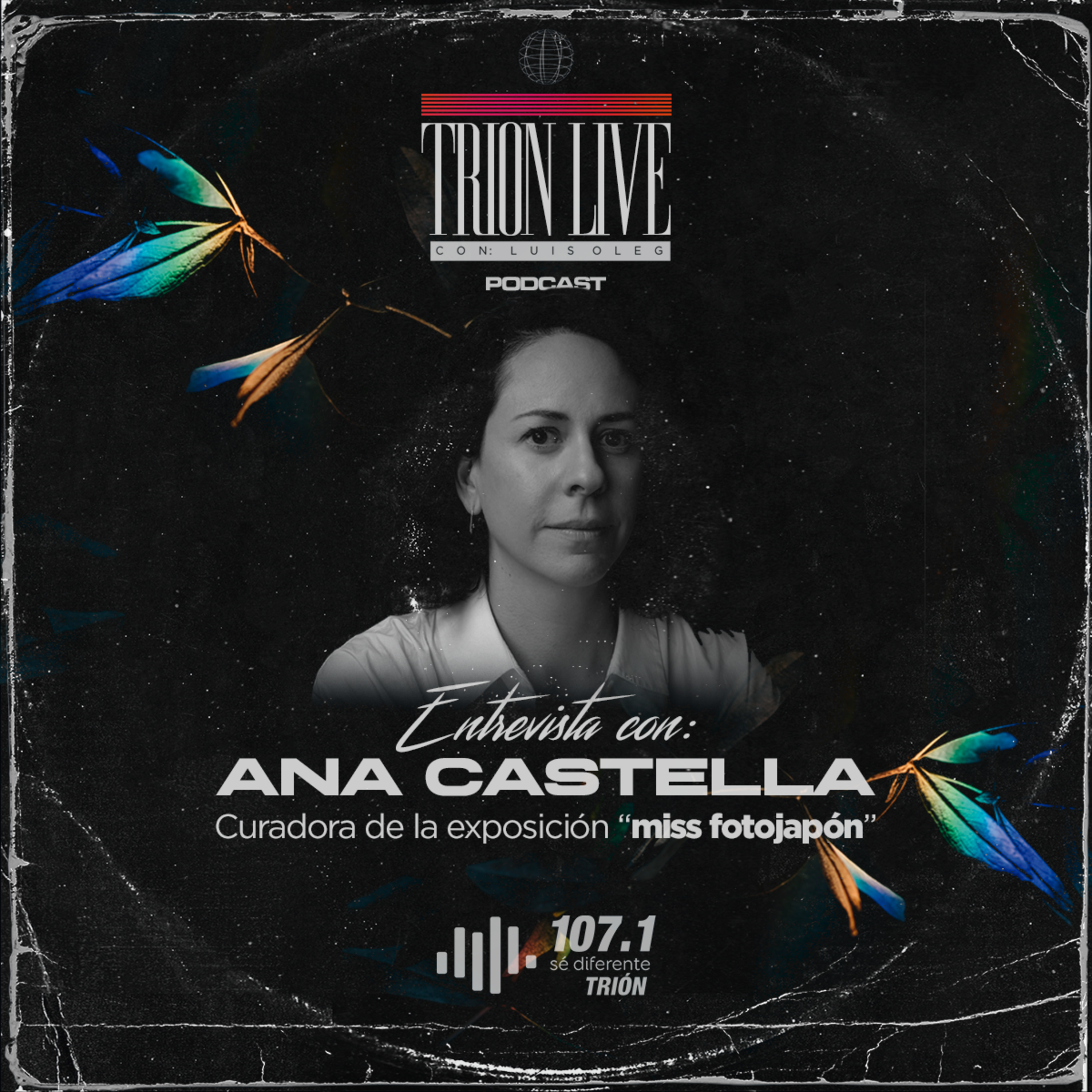Entrevista con Ana Castella episode artwork