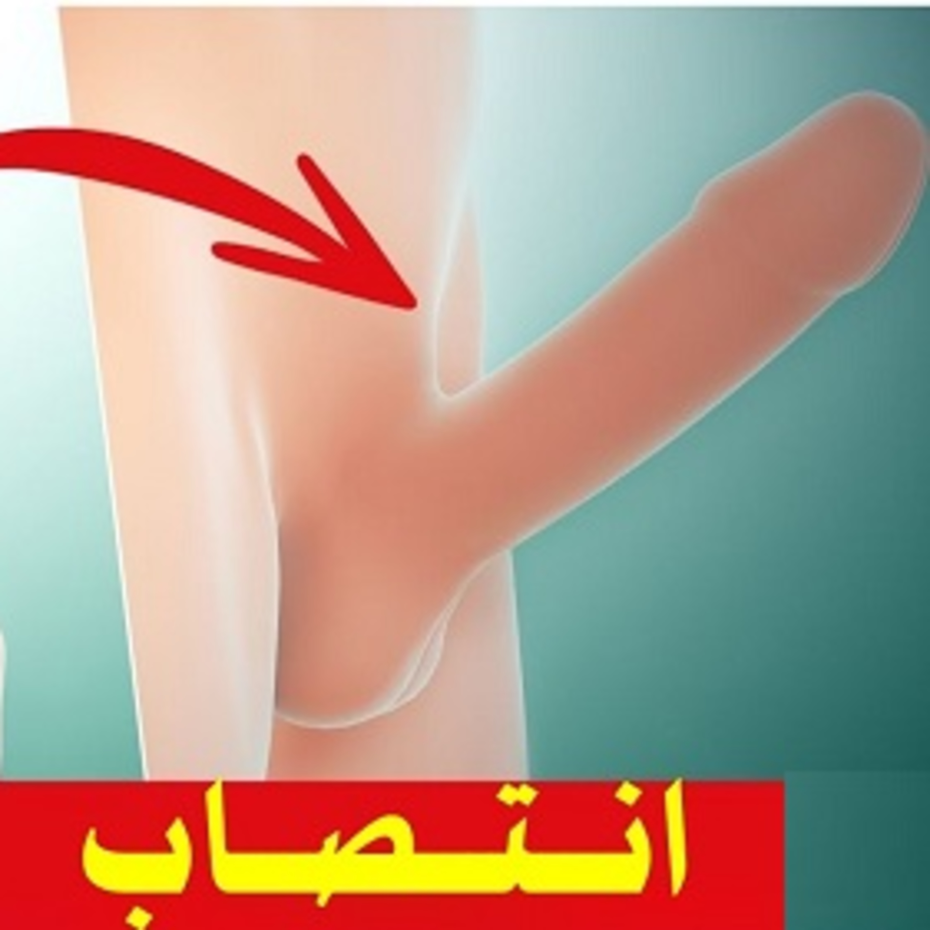 تقوية الانتصاب بـ ال ارجنين والاحماض الامينية episode artwork