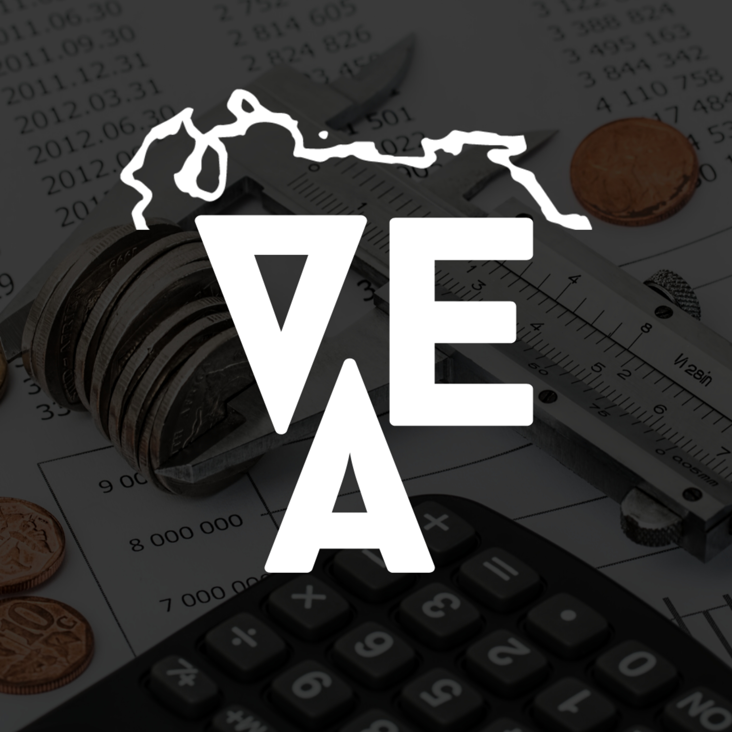 Venezuela Adentro