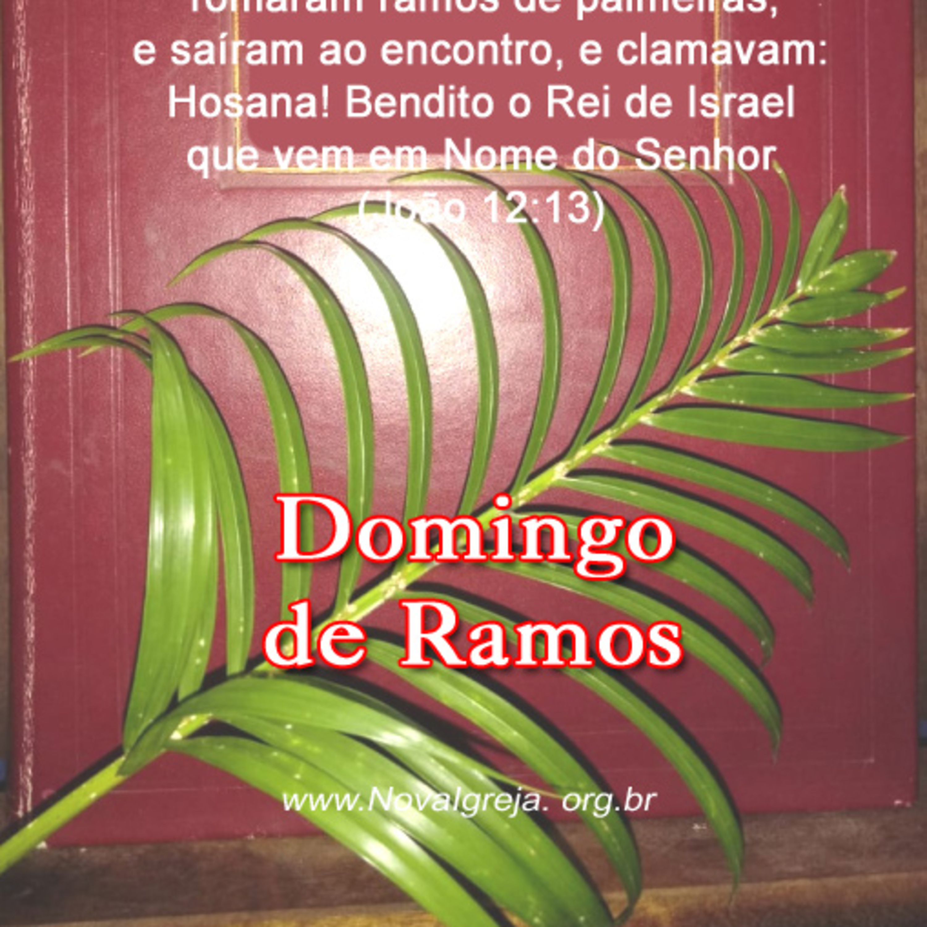 Curso de Teologia