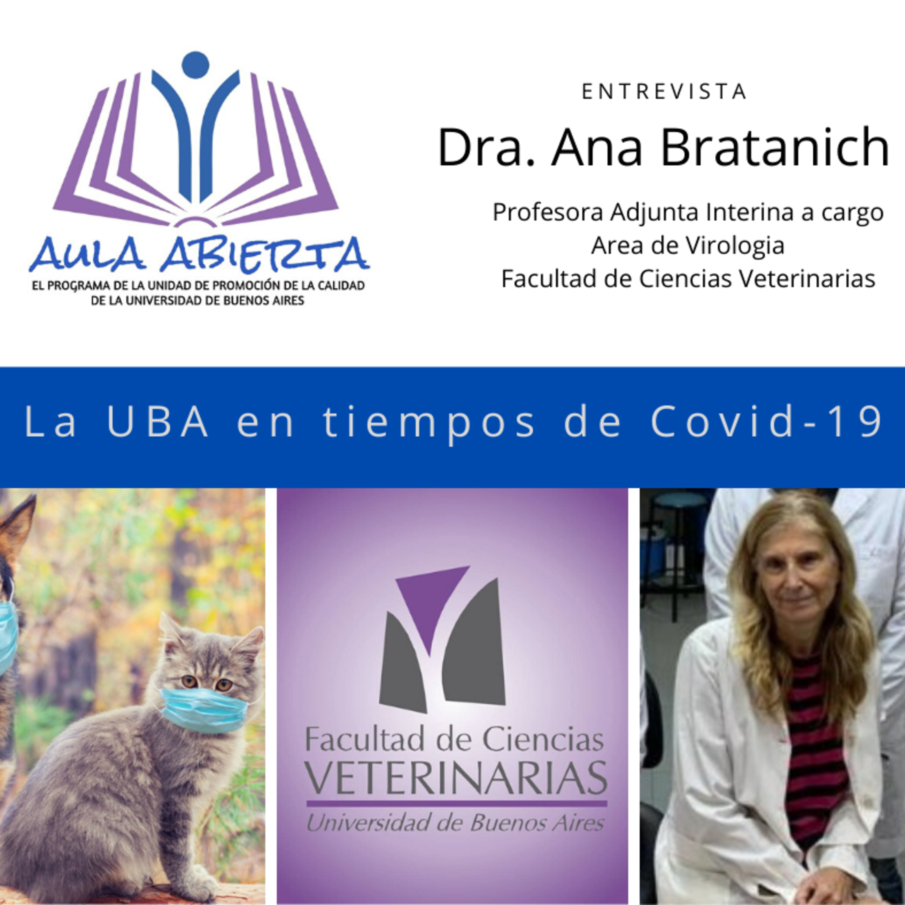 Aula Abierta - Promoción de la Calidad UBA