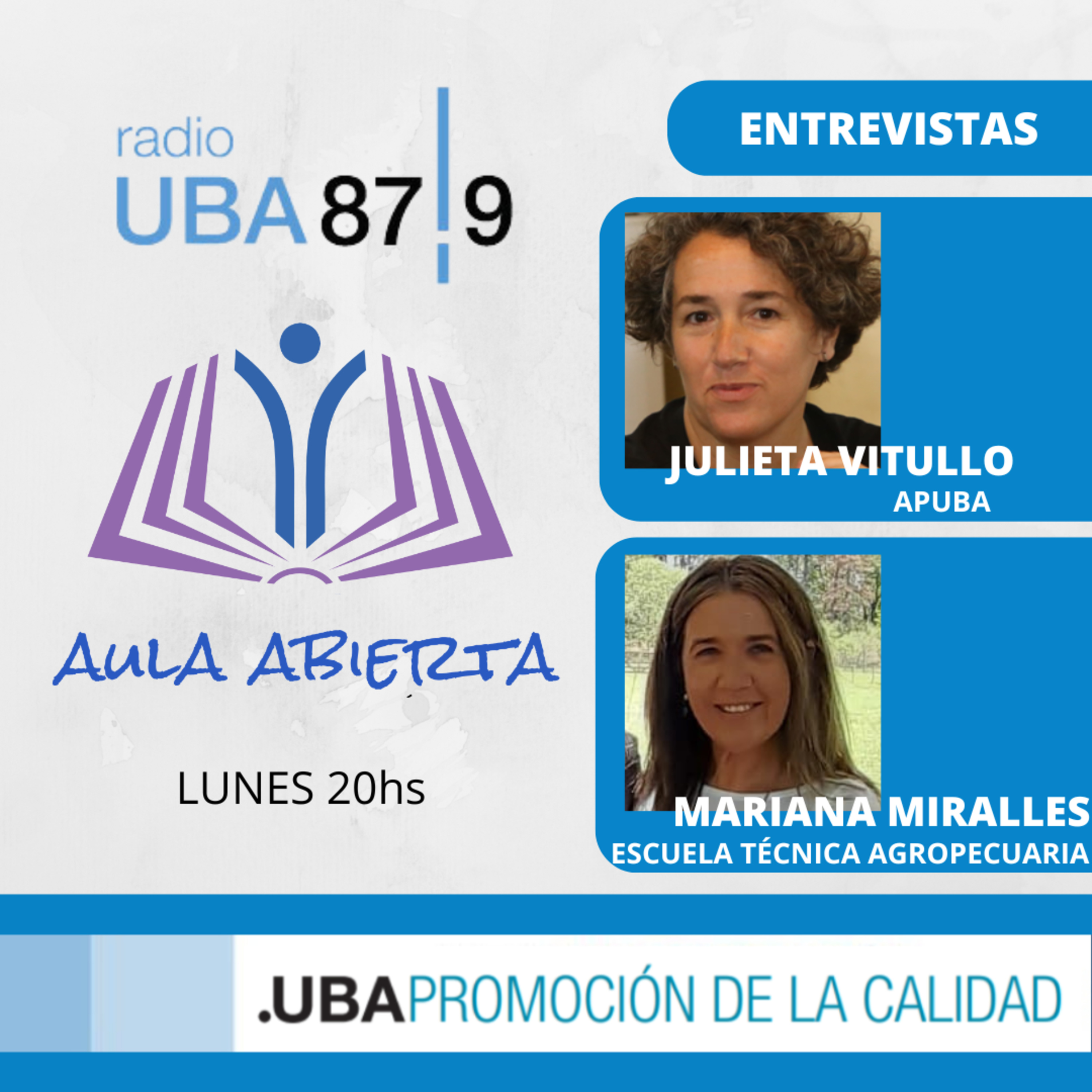 Aula Abierta - Promoción de la Calidad UBA