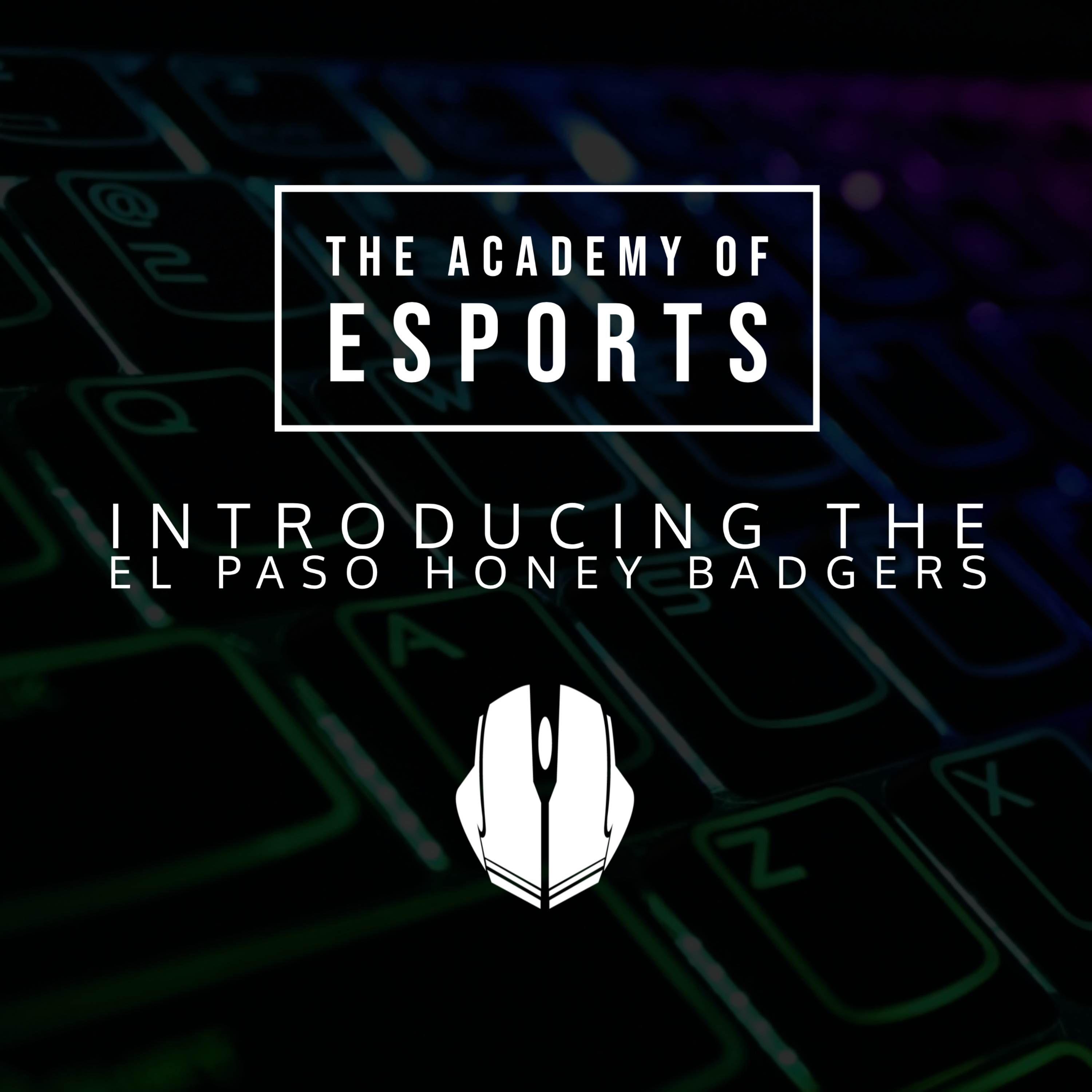 The Academy of Esports
