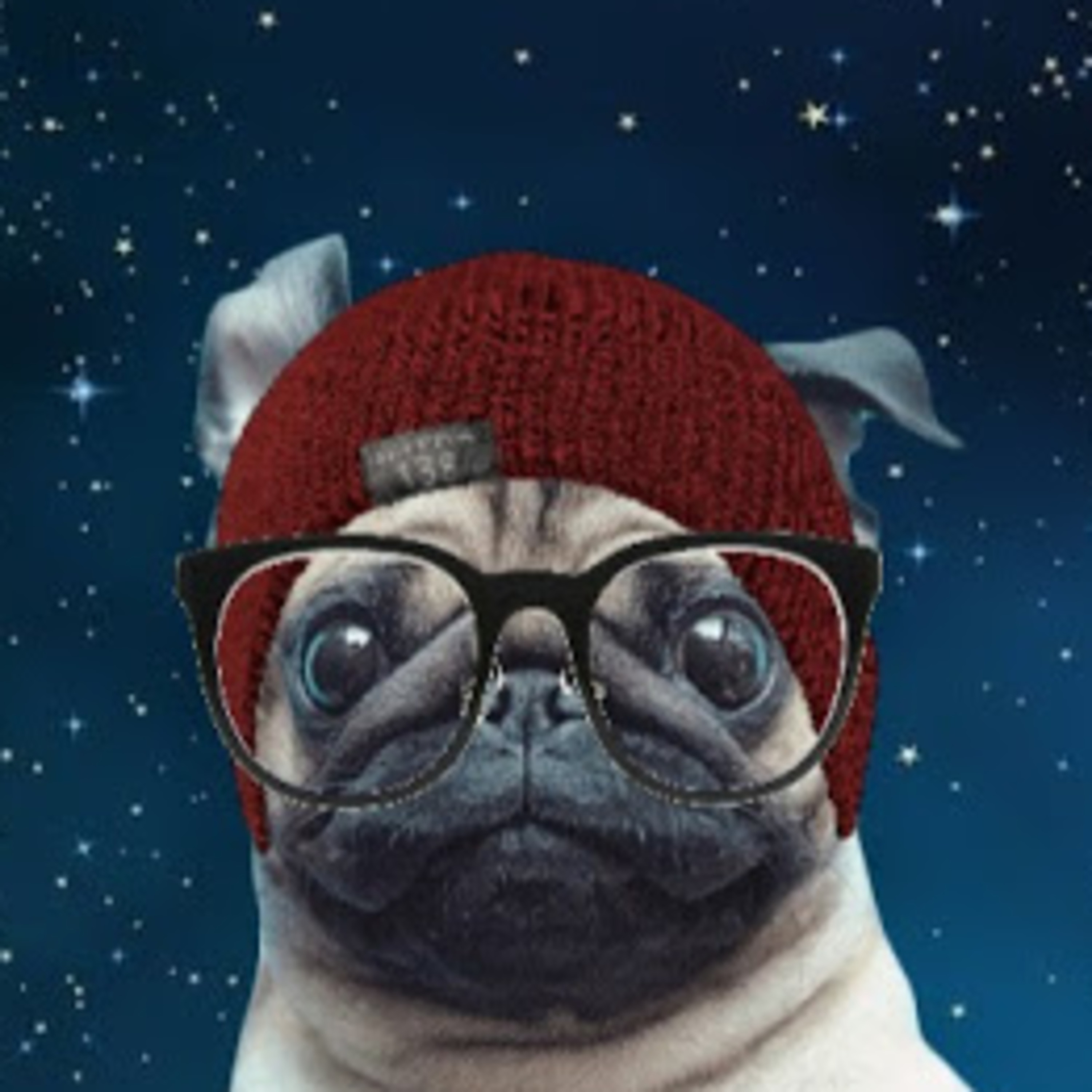 Hipster Pug S2E16 episode artwork