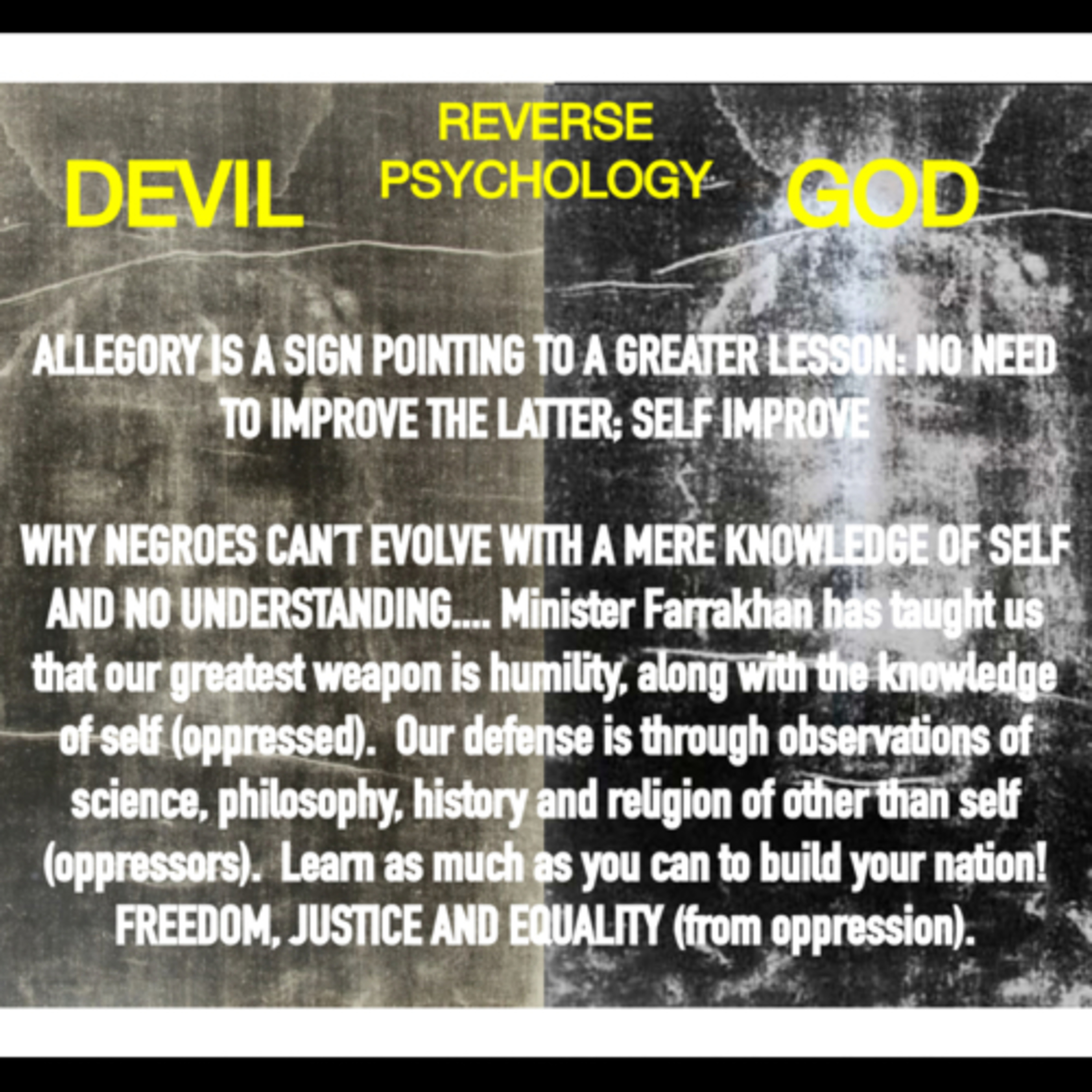 ALLEGORY IS A SIGN POINTING TO A GREATER LESSON: NO NEED TO IMPROVE THE LADDER; SELF IMPROVE  episode artwork