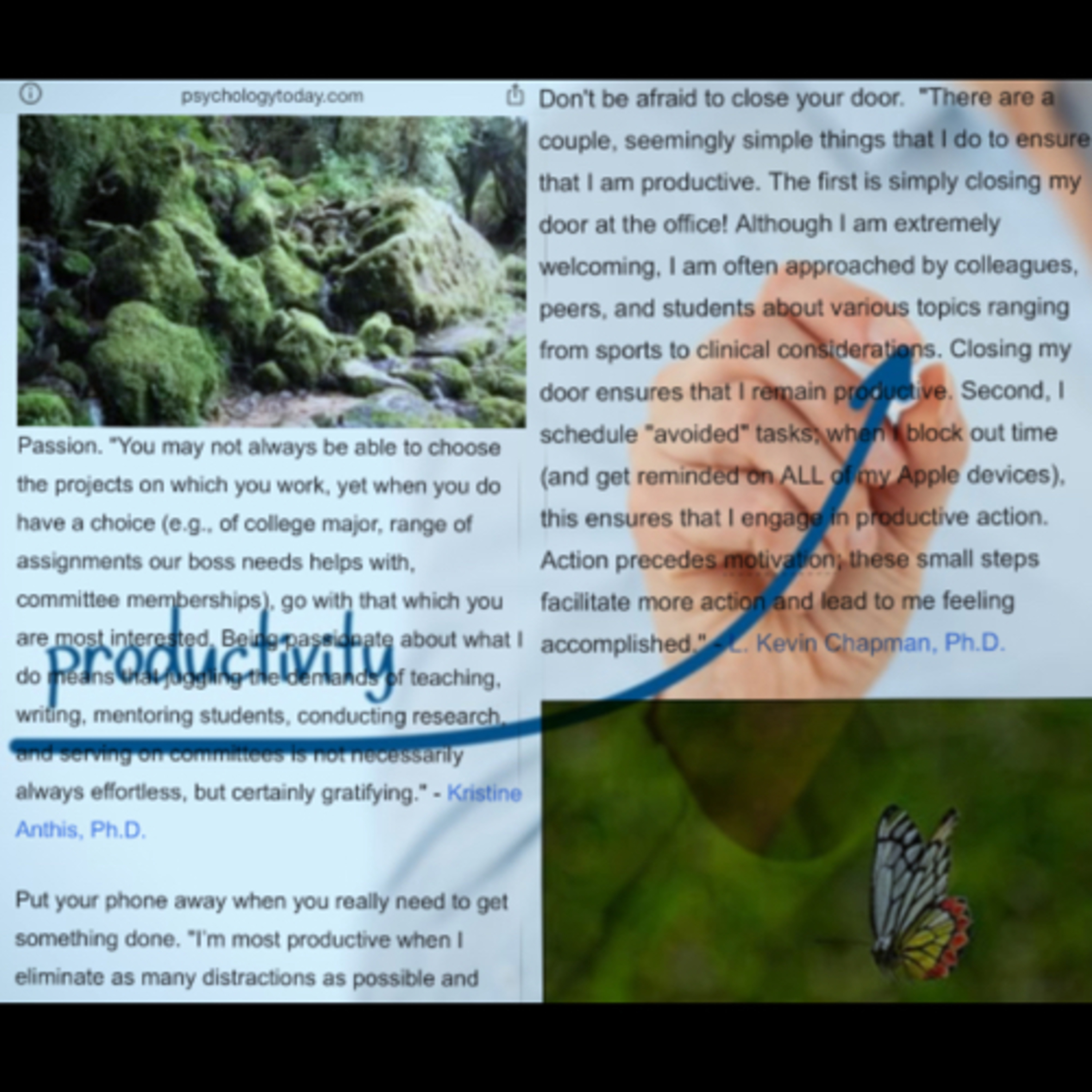 MOTIVATIONAL THERAPY AND UNDERSTANDING PRODUCTIVITY  episode artwork