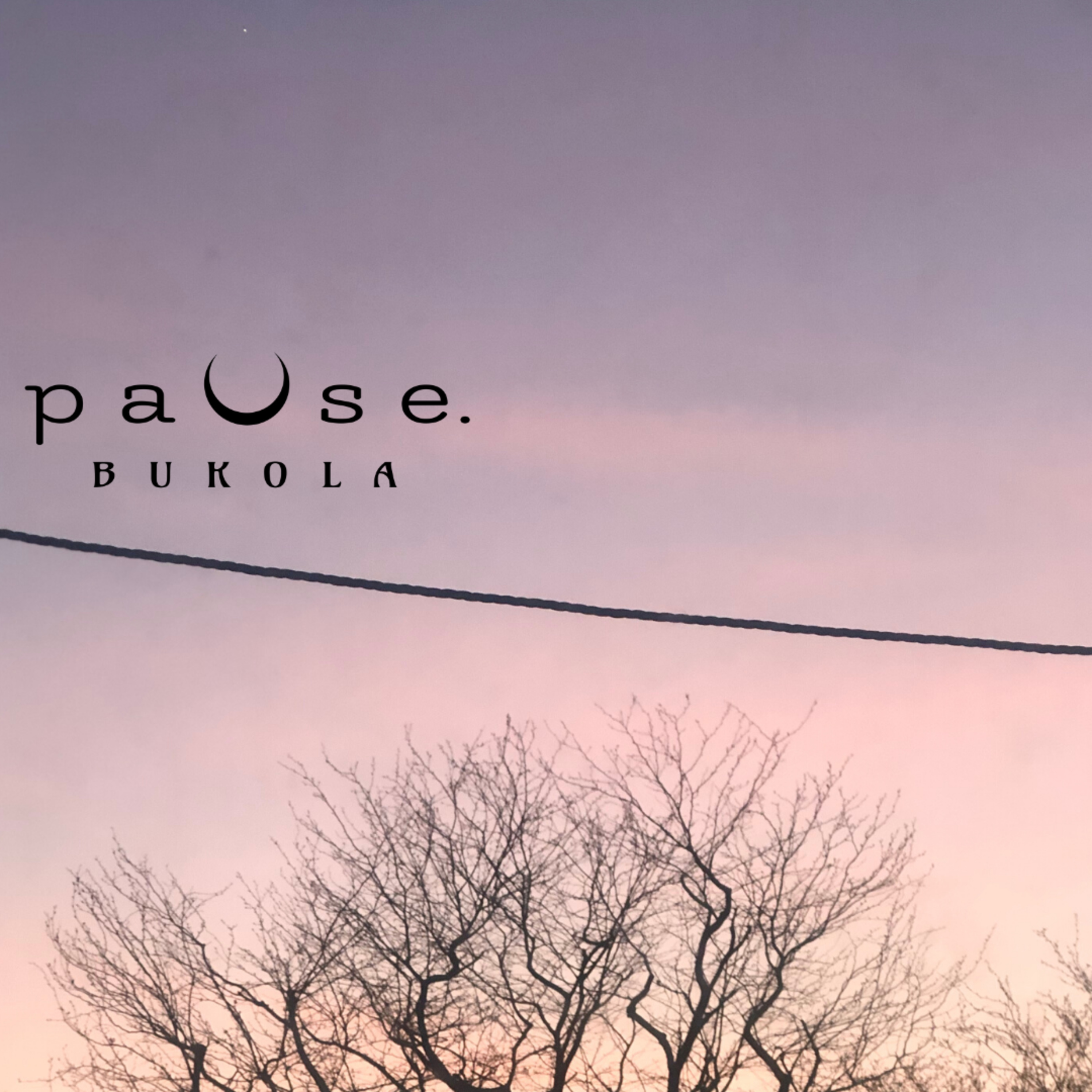 pauseBUKOLA