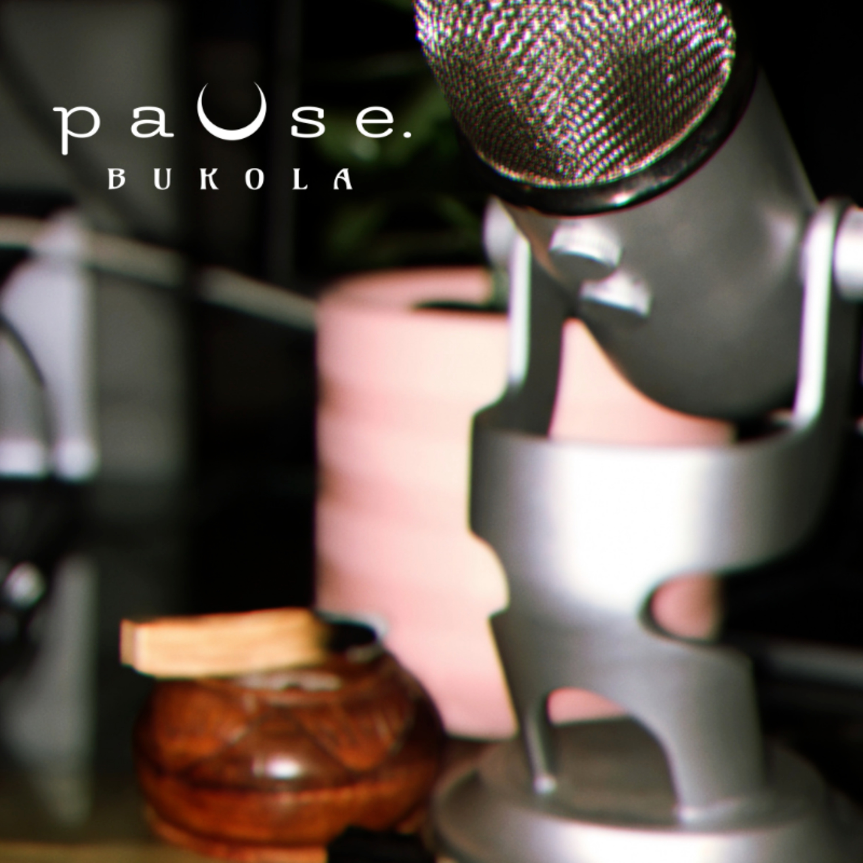 pauseBUKOLA