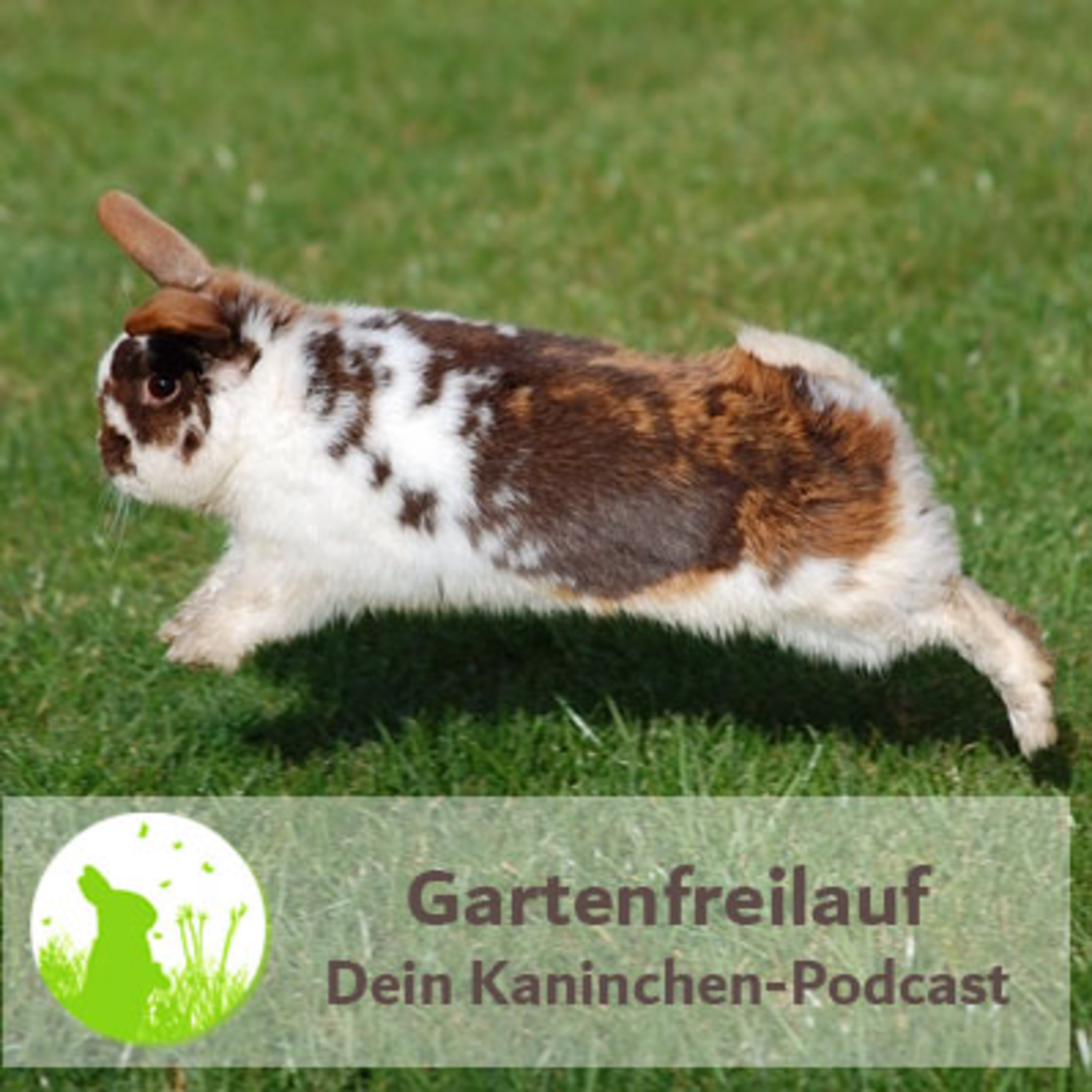 Kaninchenwiese.de Dein Kaninchen-Podcast
