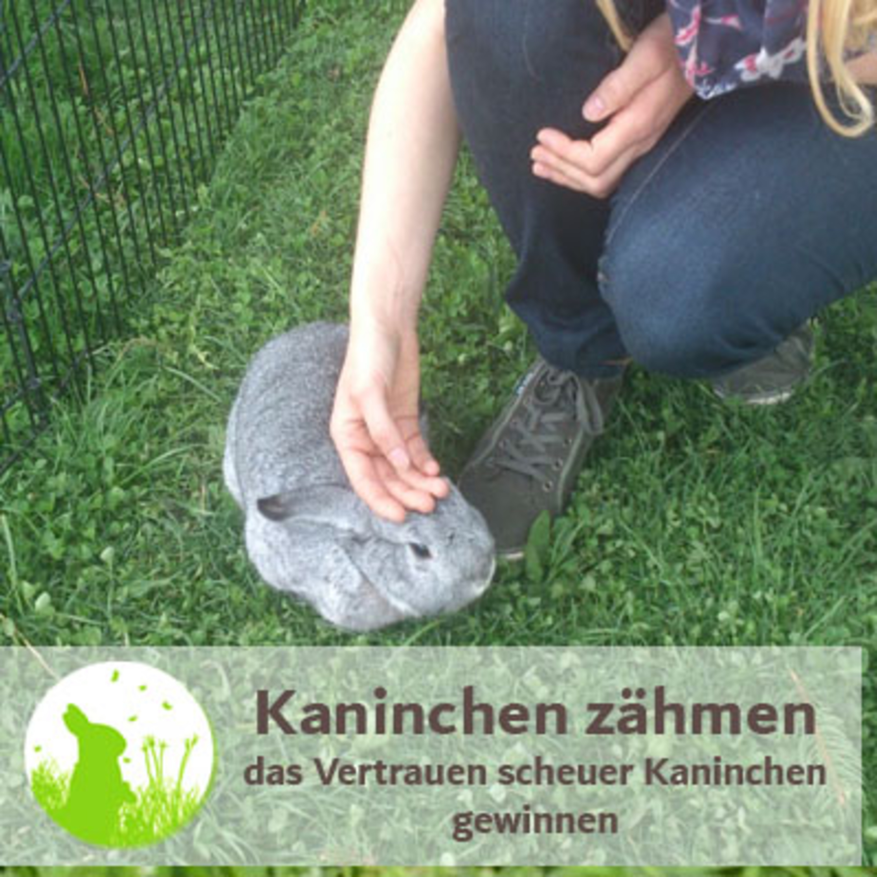 Kaninchenwiese.de Dein Kaninchen-Podcast