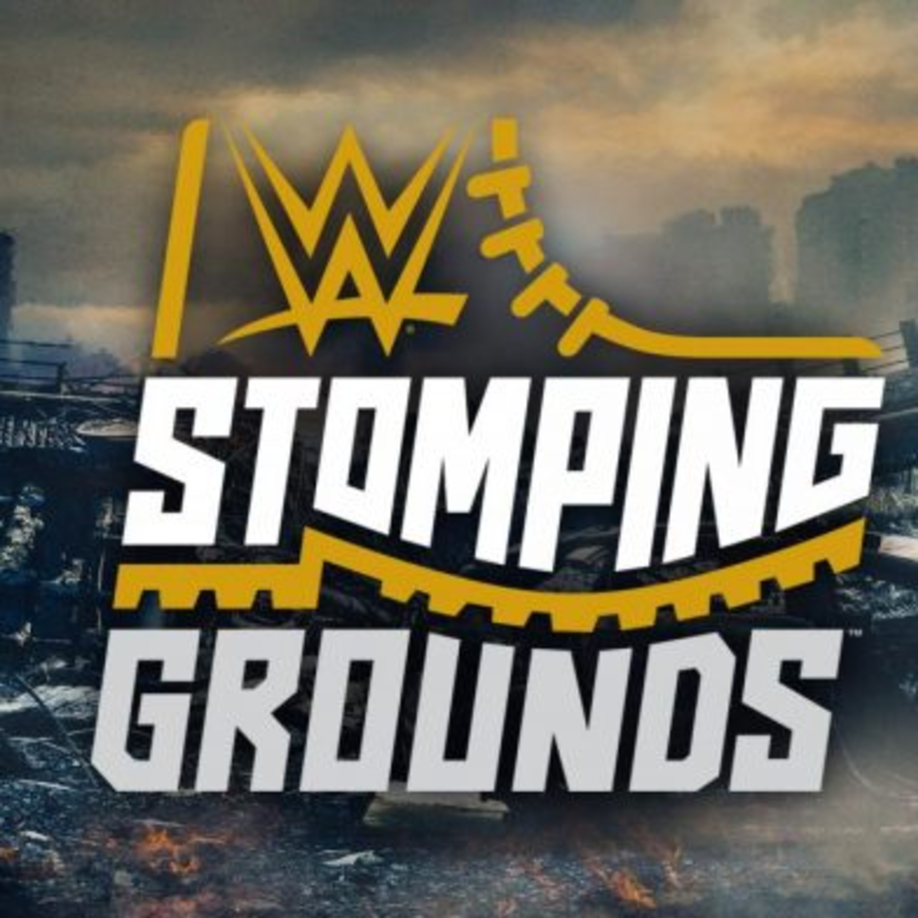 Stomping Grounds, TV 14 & AEW