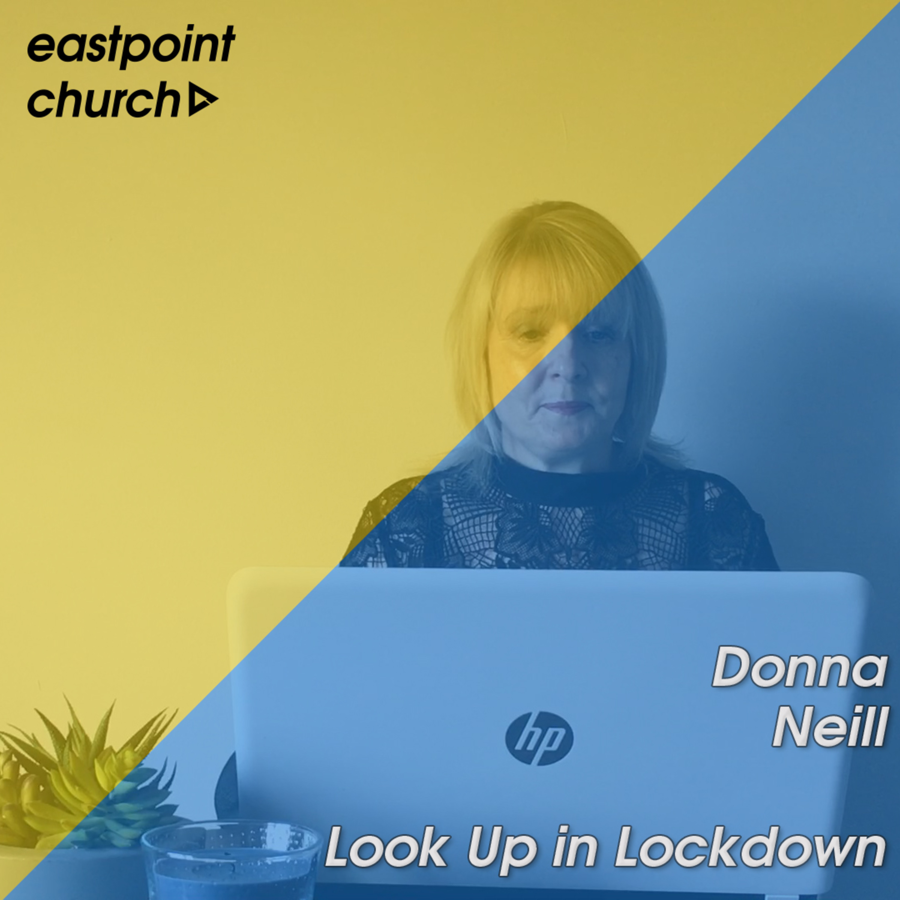 Look Up in Lockdown \\ Donna Neill episode artwork