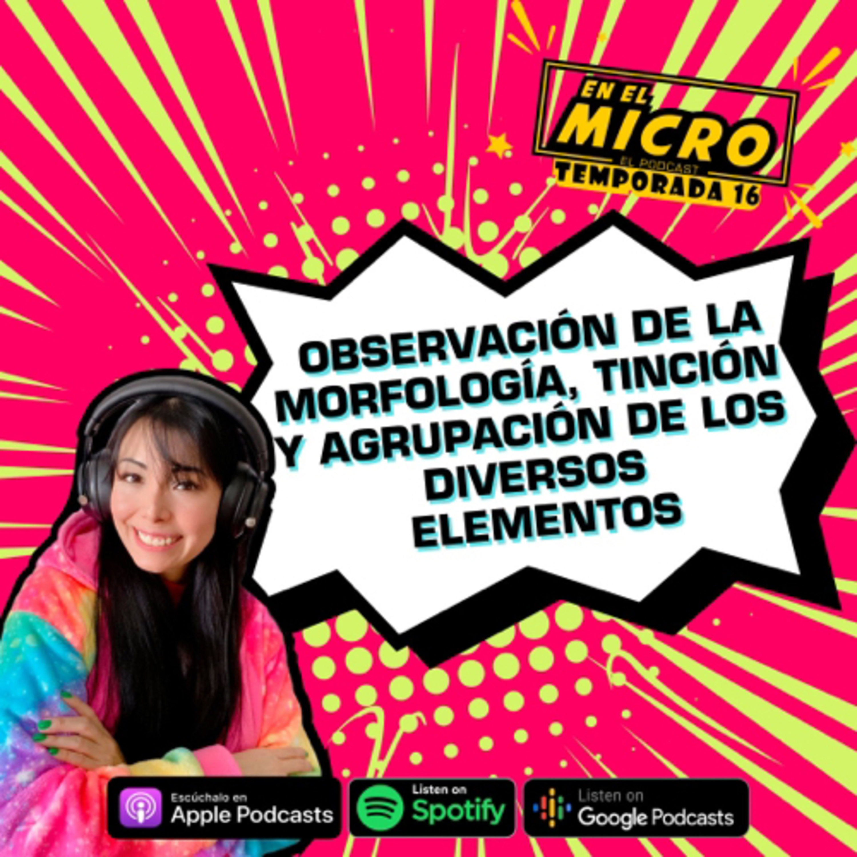 Observación de la morfología, tinción y agrupación de los diversos elementos episode artwork