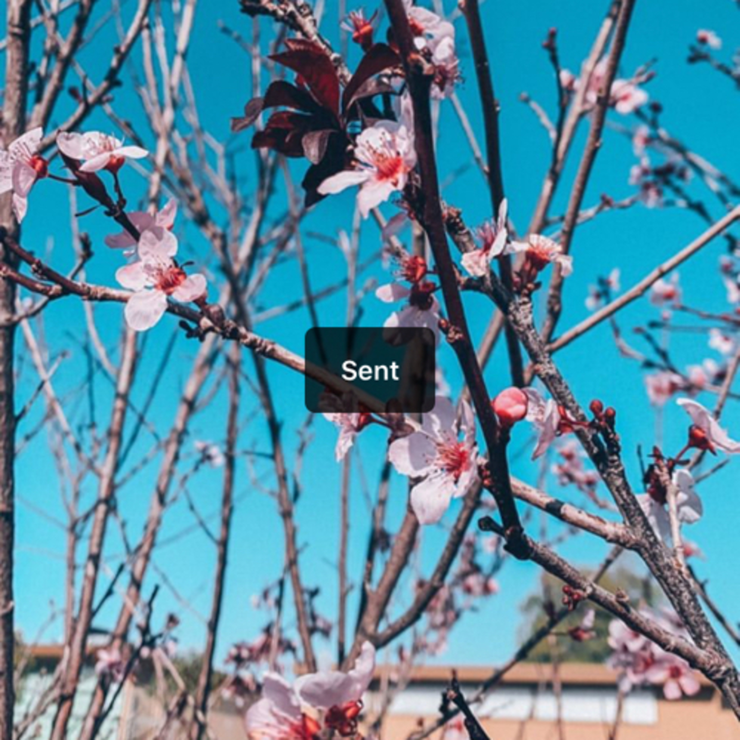 Tips on how to be fruitful