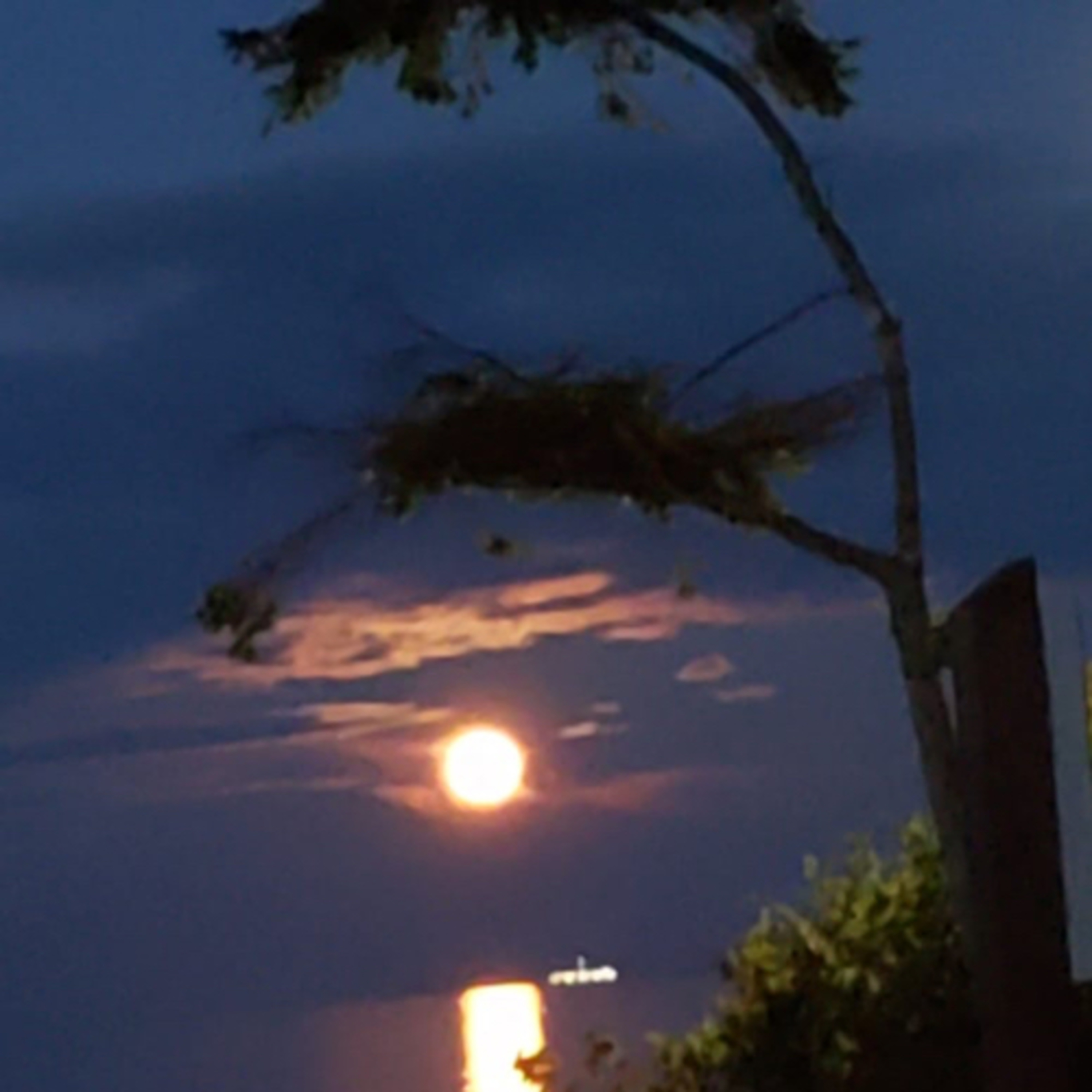 Mark 11:12-15 (correction ☺️)