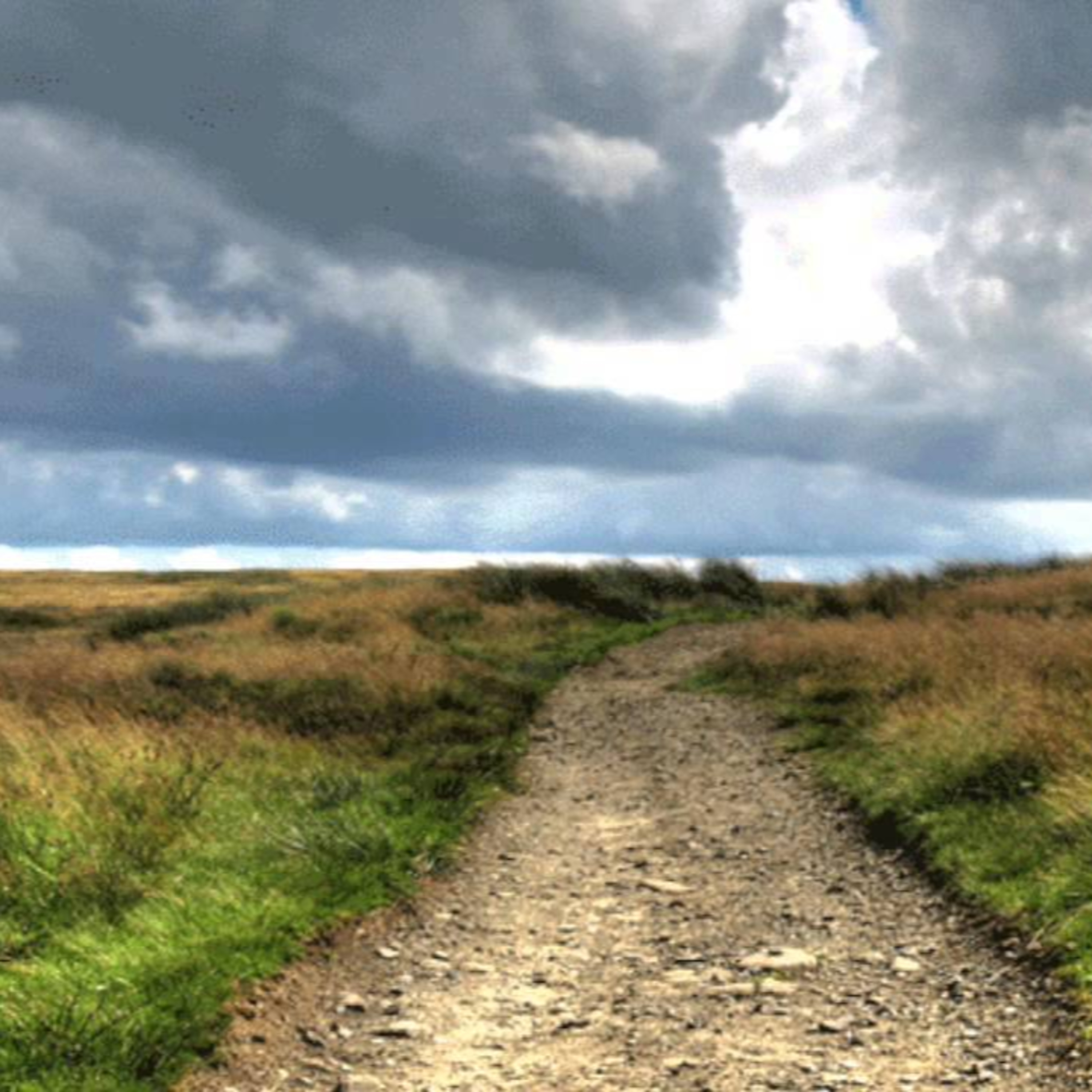 En el Camino