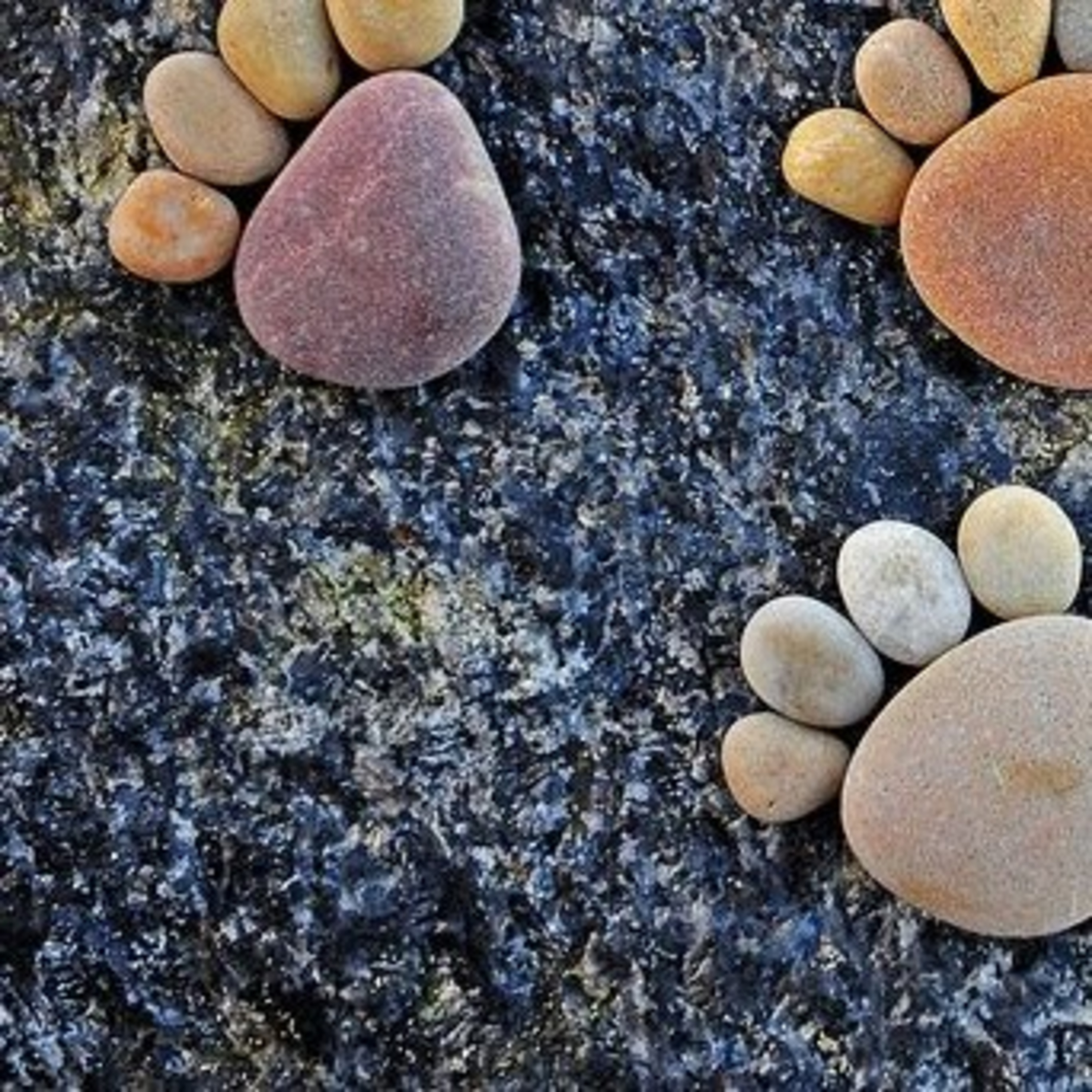 Lean Branding - Il Branding Agile e la formula della Fiducia