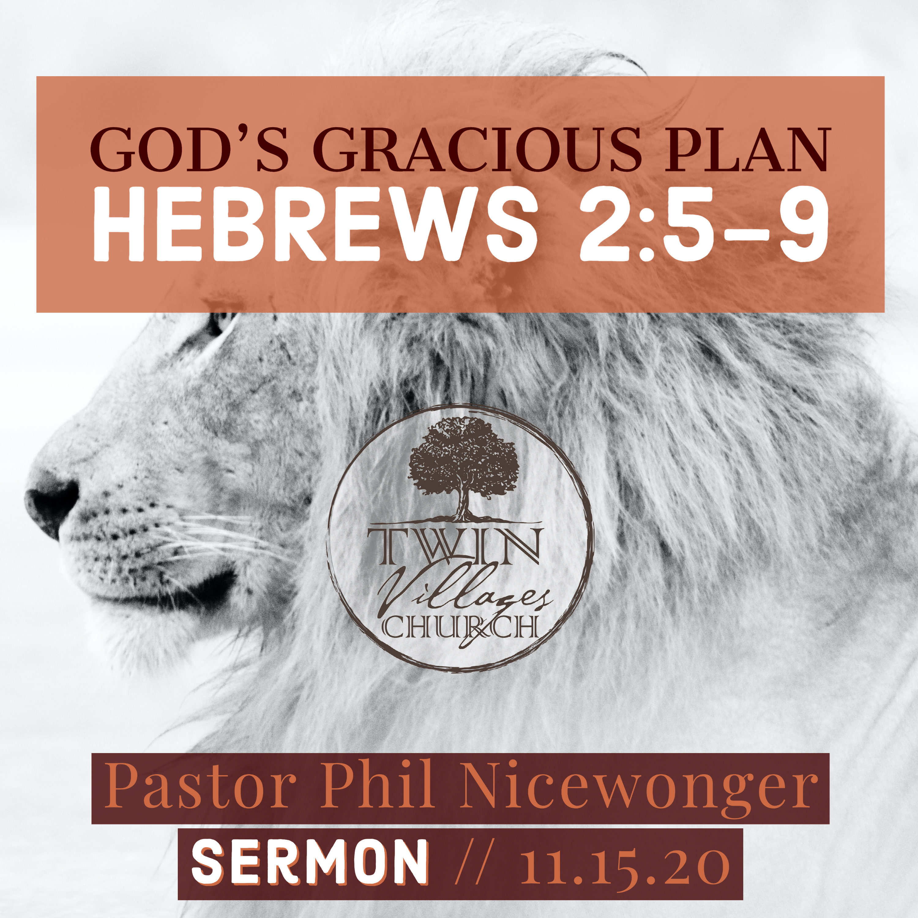 “God’s Gracious Plan” // Hebrews 2:5-9 // Pastor Phil Nicewonger // 11.15.20 *Sermon* episode artwork