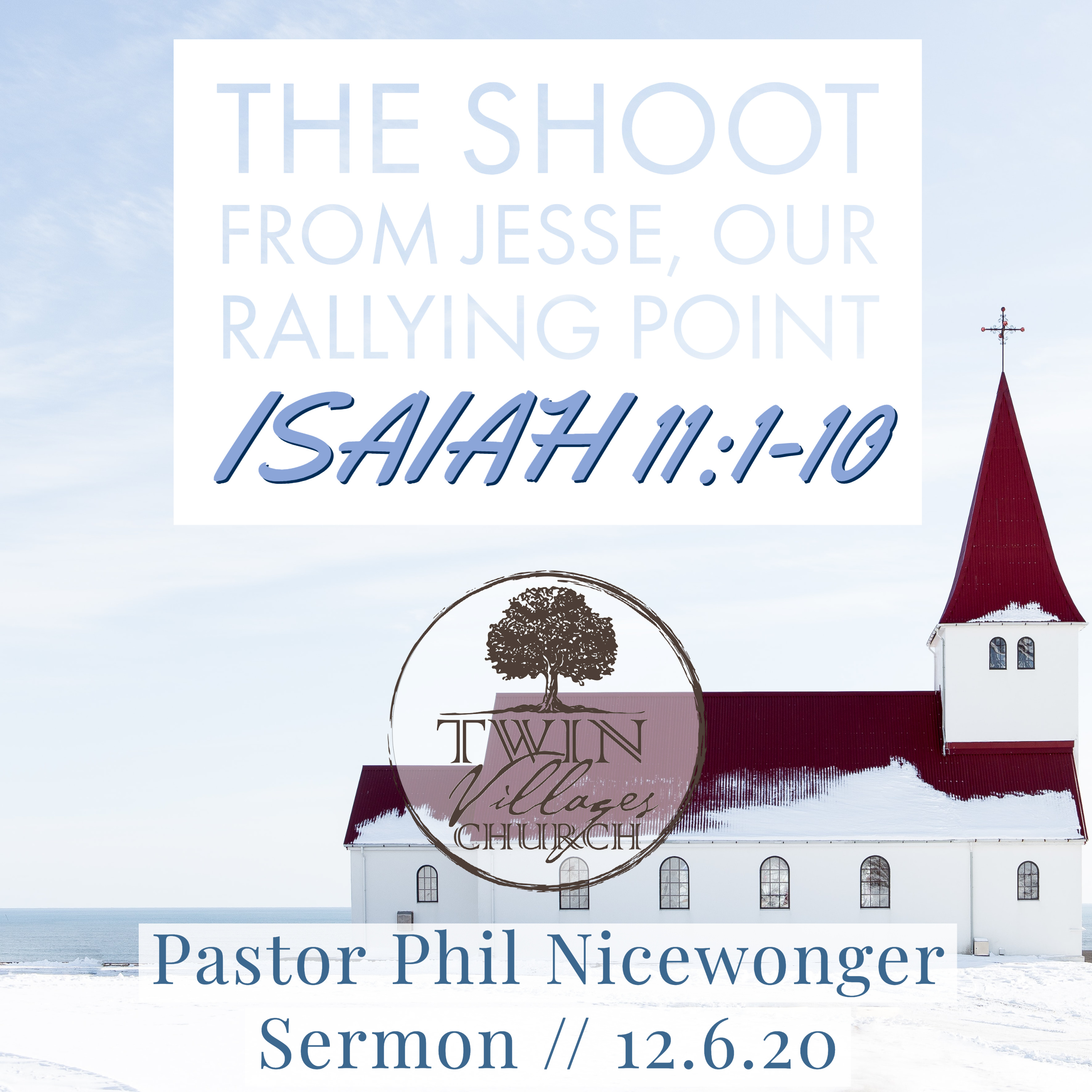 “The Shoot From Jesse, Our Rallying Point” // Isaiah 11:1-10 // Pastor Phil Nicewonger // 12.06.20 *Sermon* episode artwork