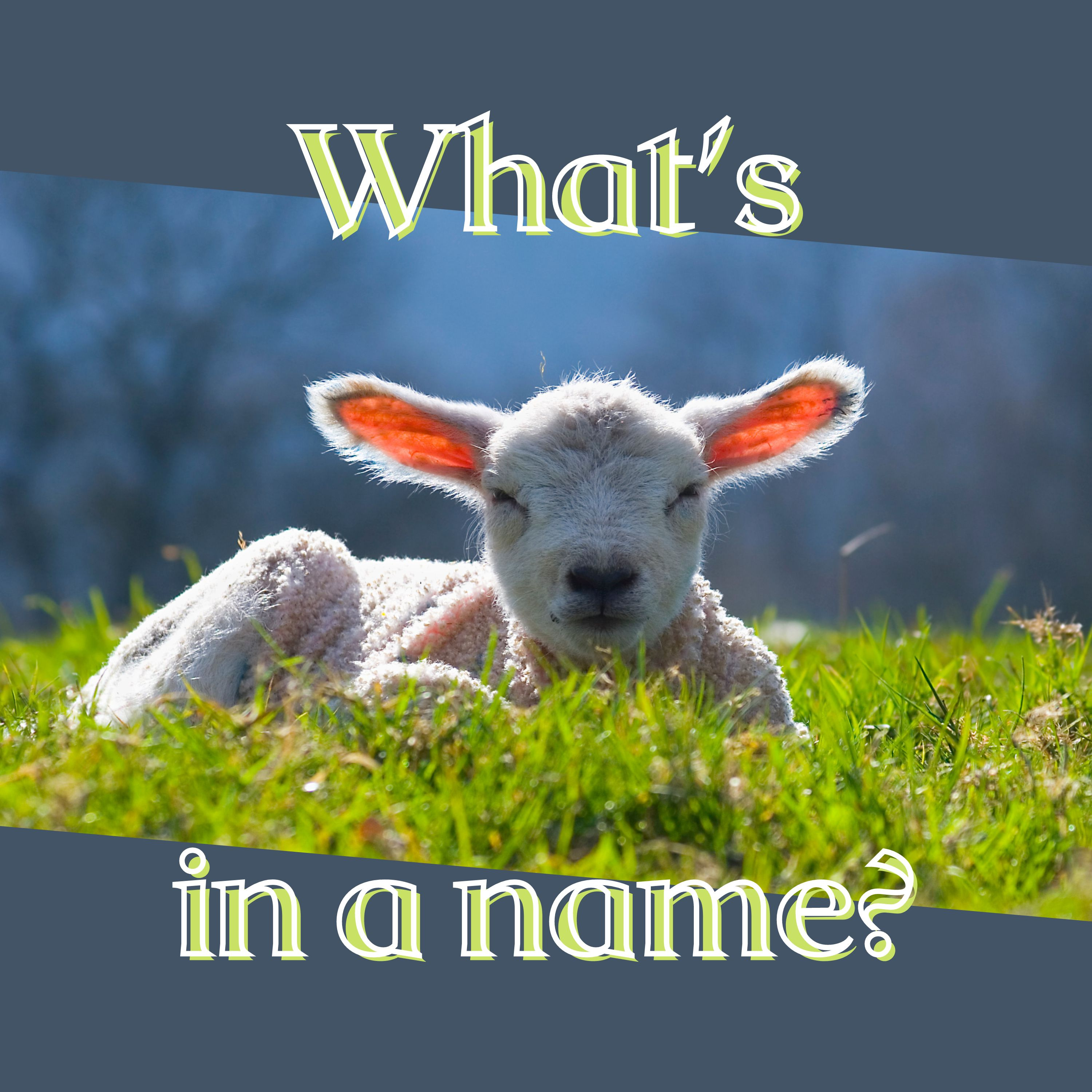 What's in a Name 3: Everlasting Father - Isaiah 9:1-7 episode artwork