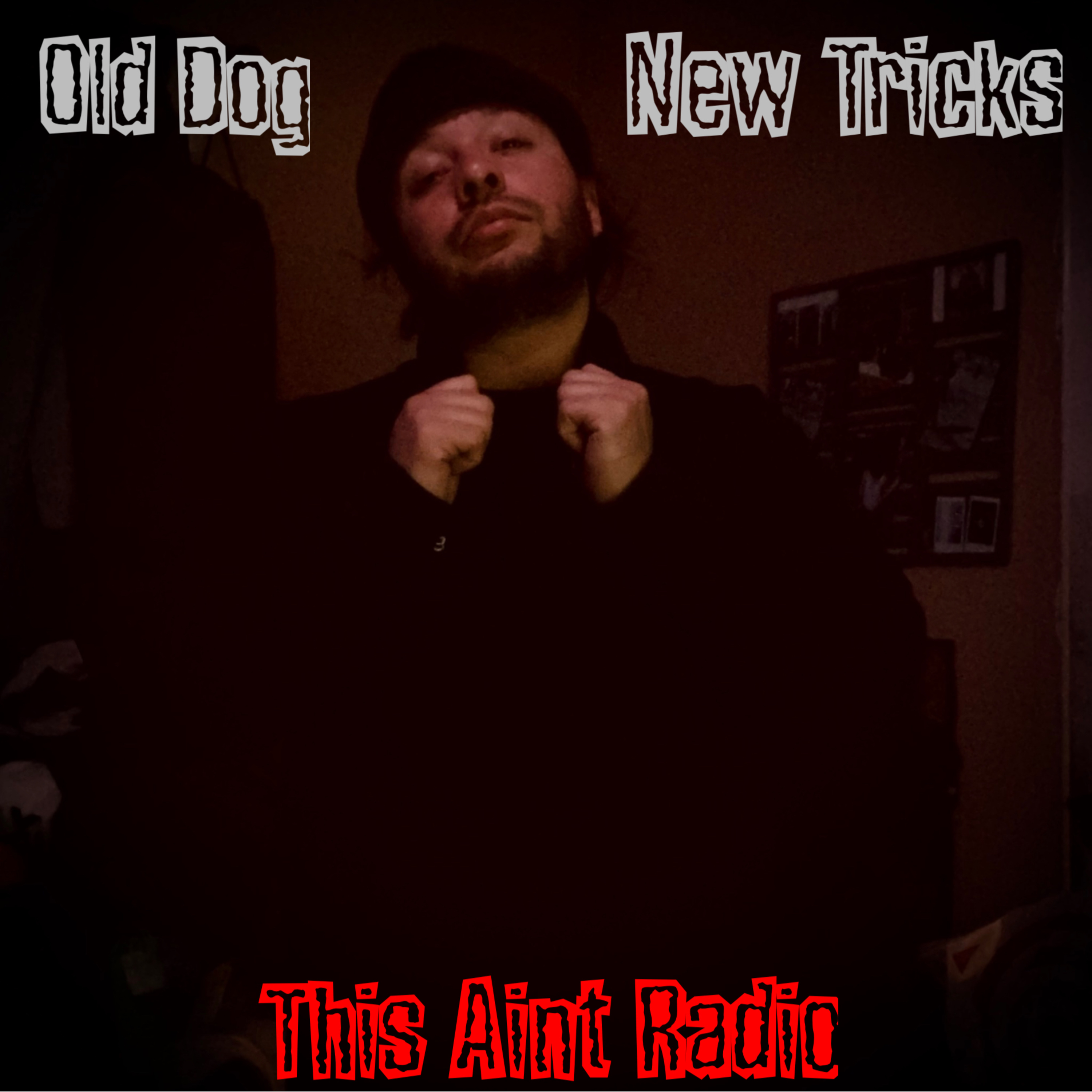 Ep.47 - Old Dog, New Tricks episode artwork