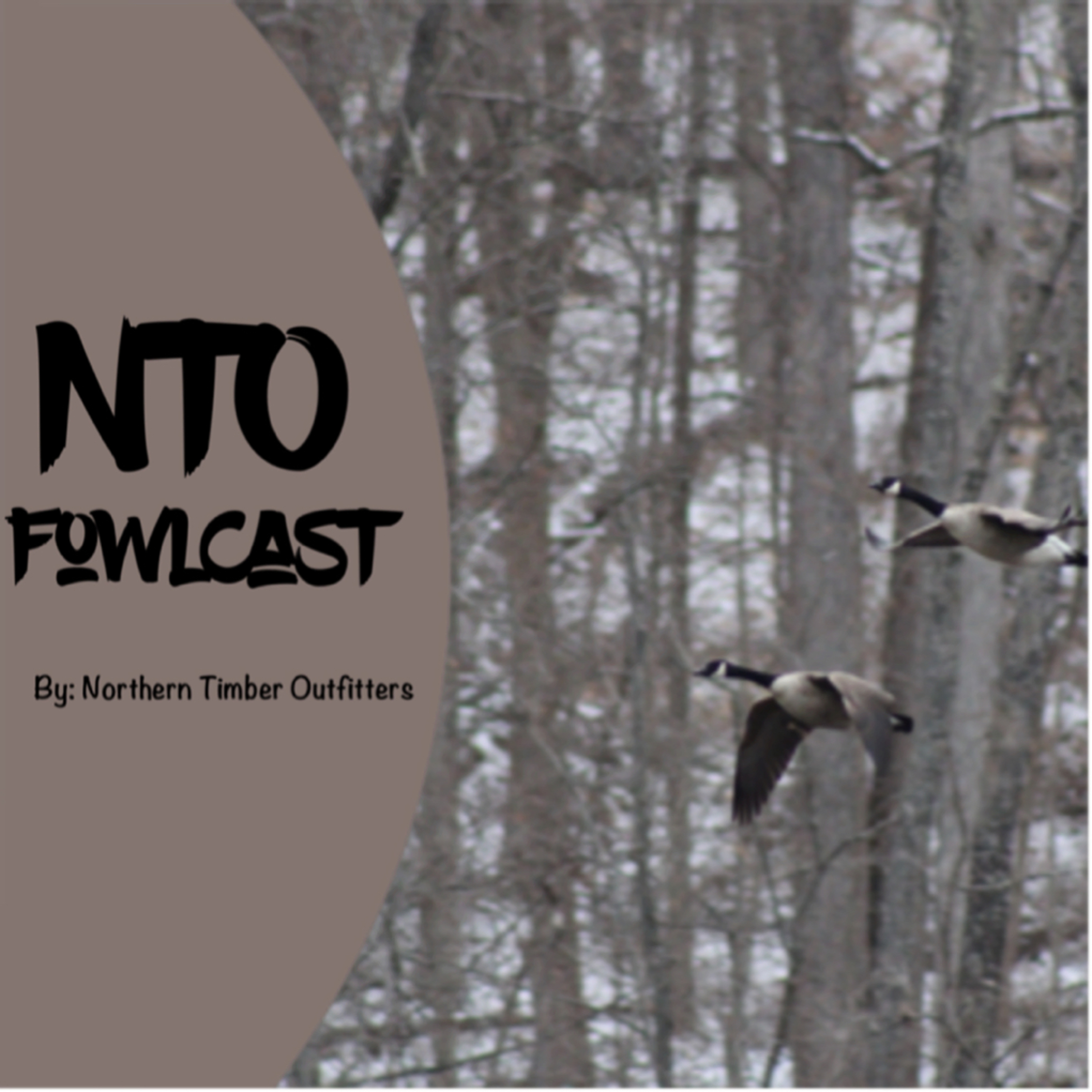 Episode 1 Talking Ducks & Geese with Jarrel