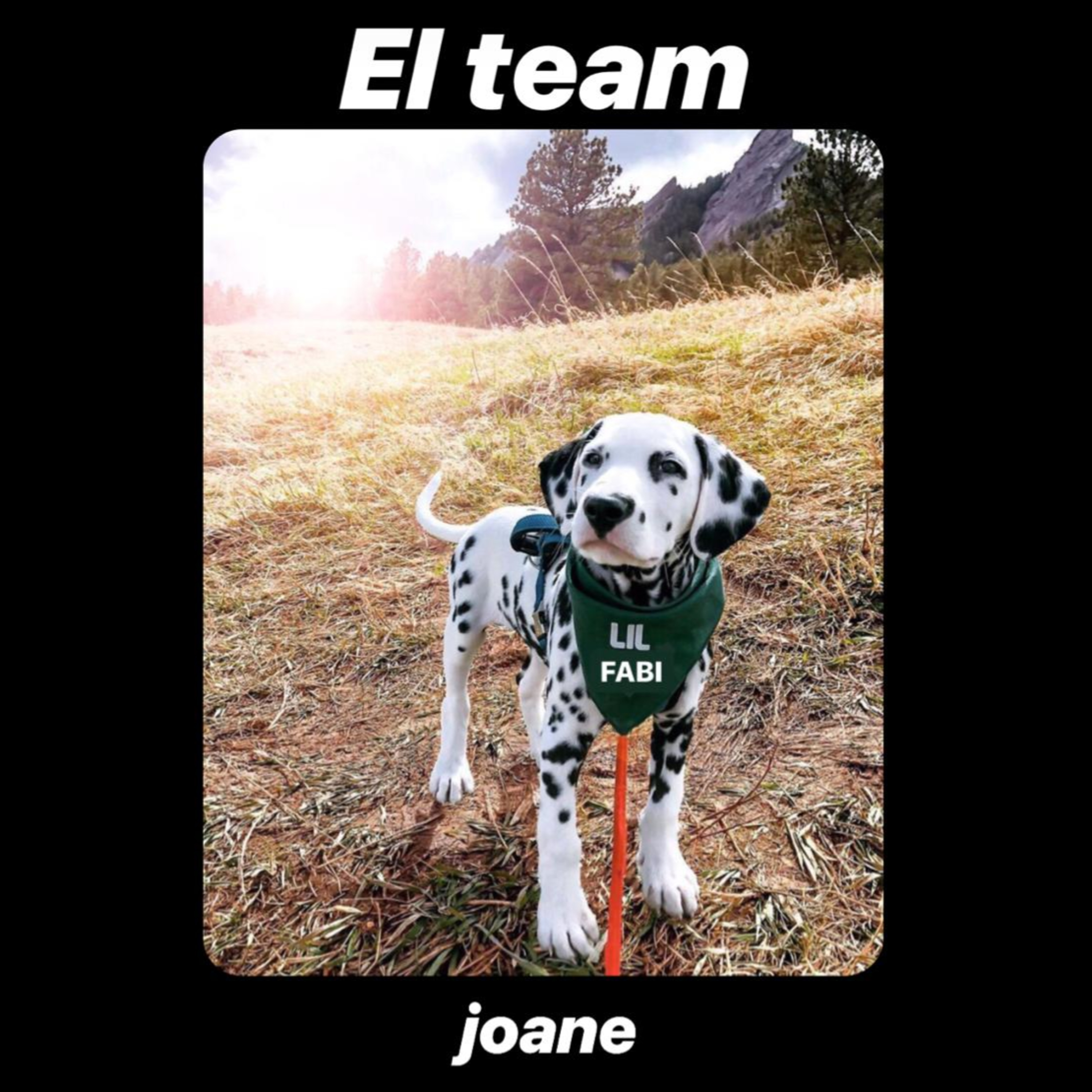 El team + fabiola (sin fabiola) episode artwork