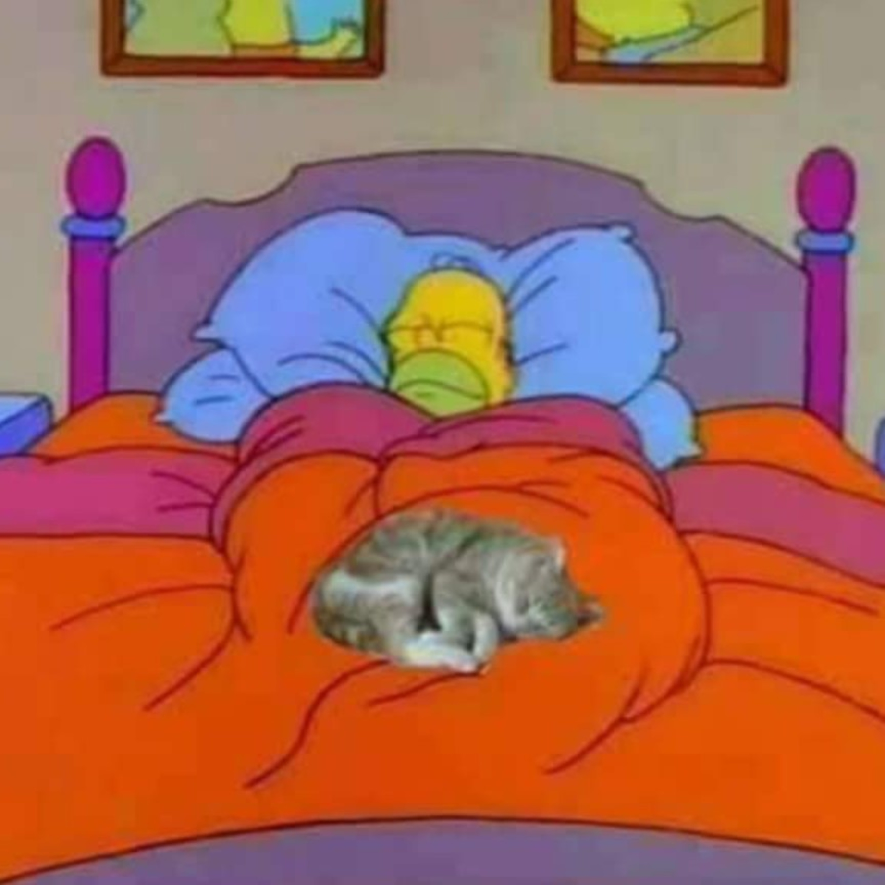 descoisando