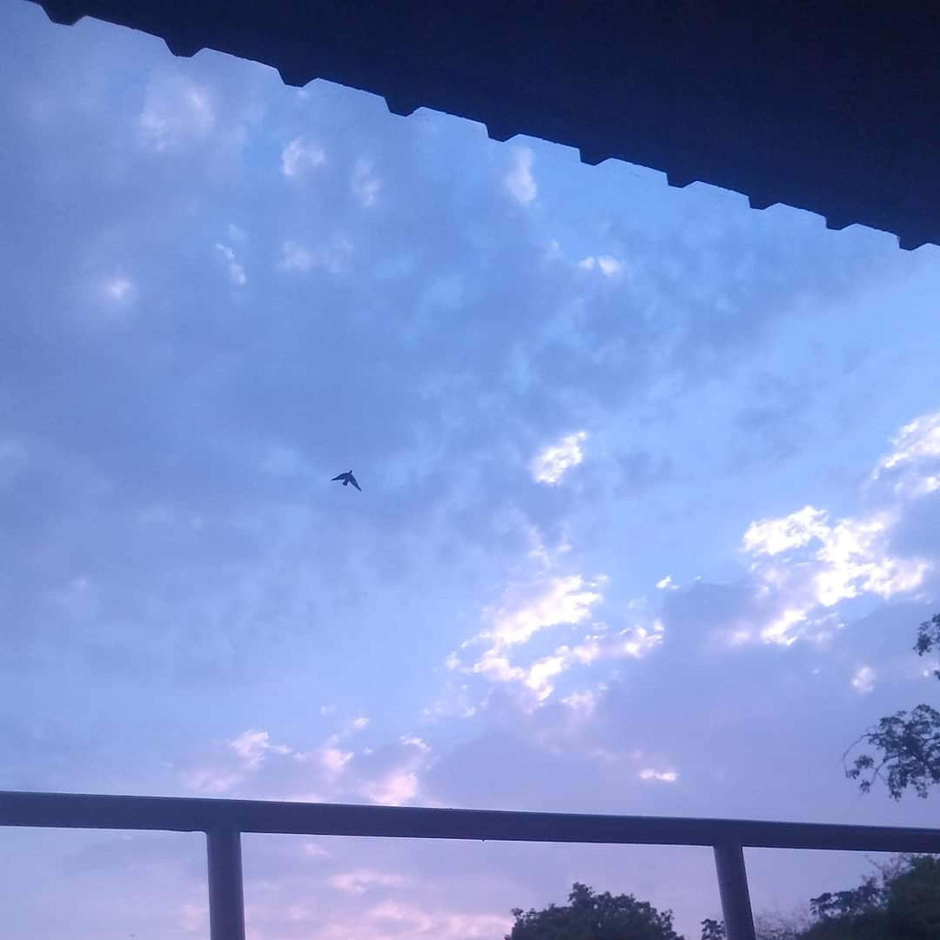 descoisando