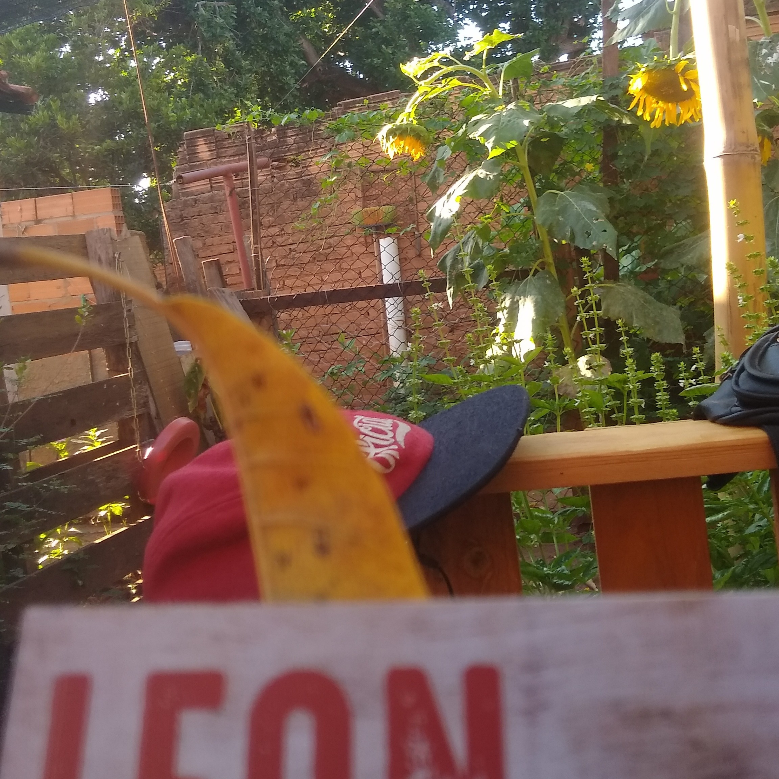descoisando