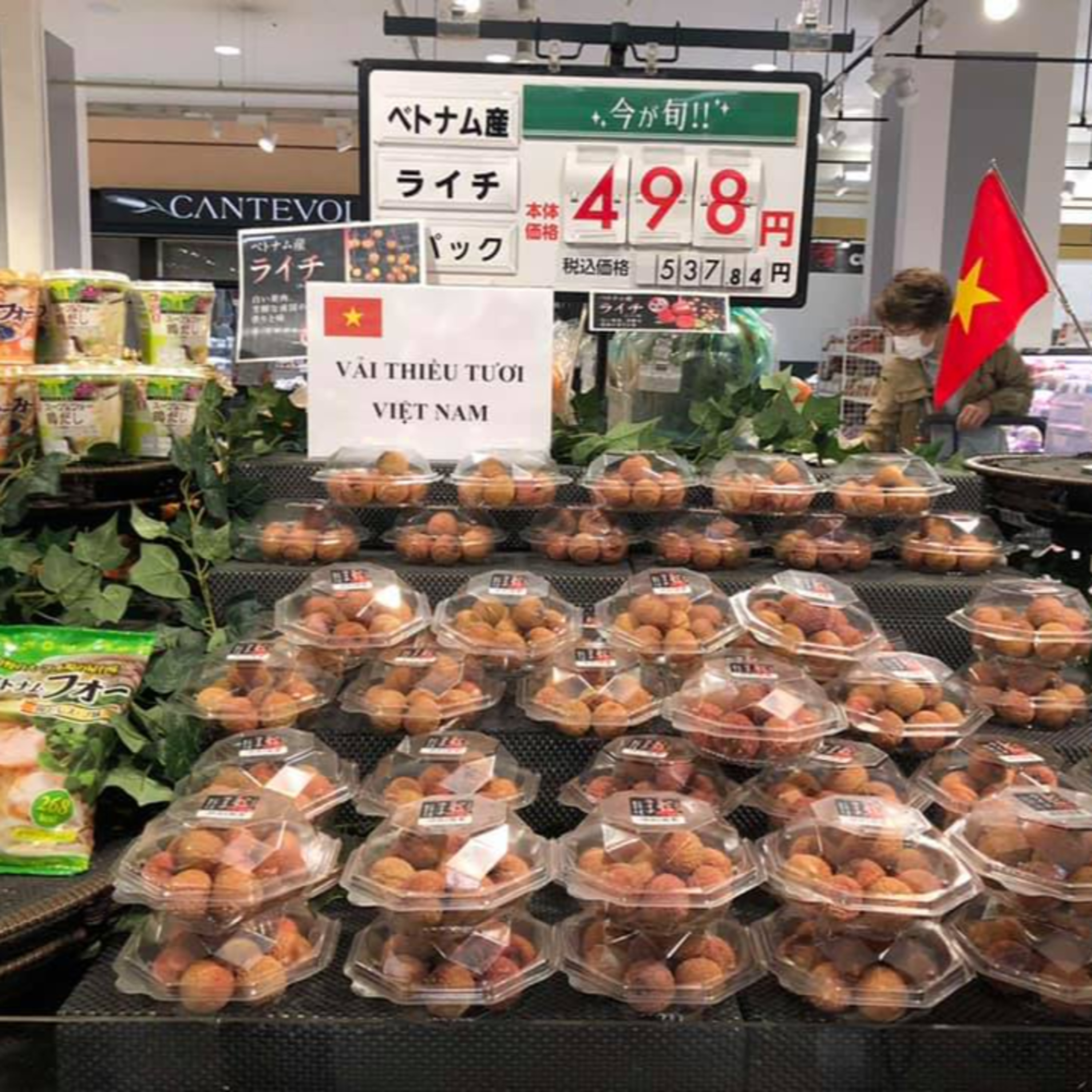 Vải Sớm Phúc Hòa